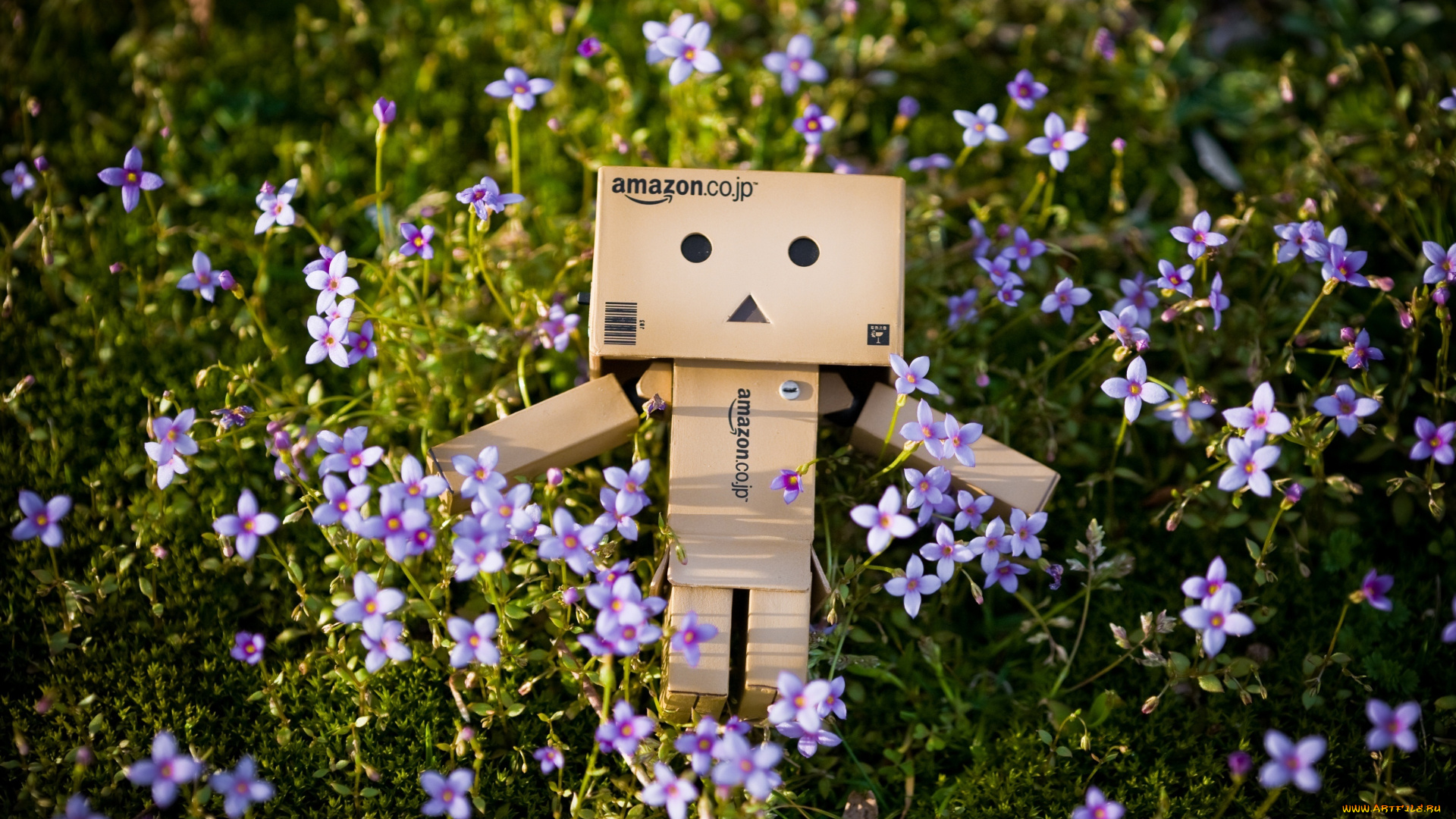 разное, данбо, danboard, цветы, коробочка, danbo