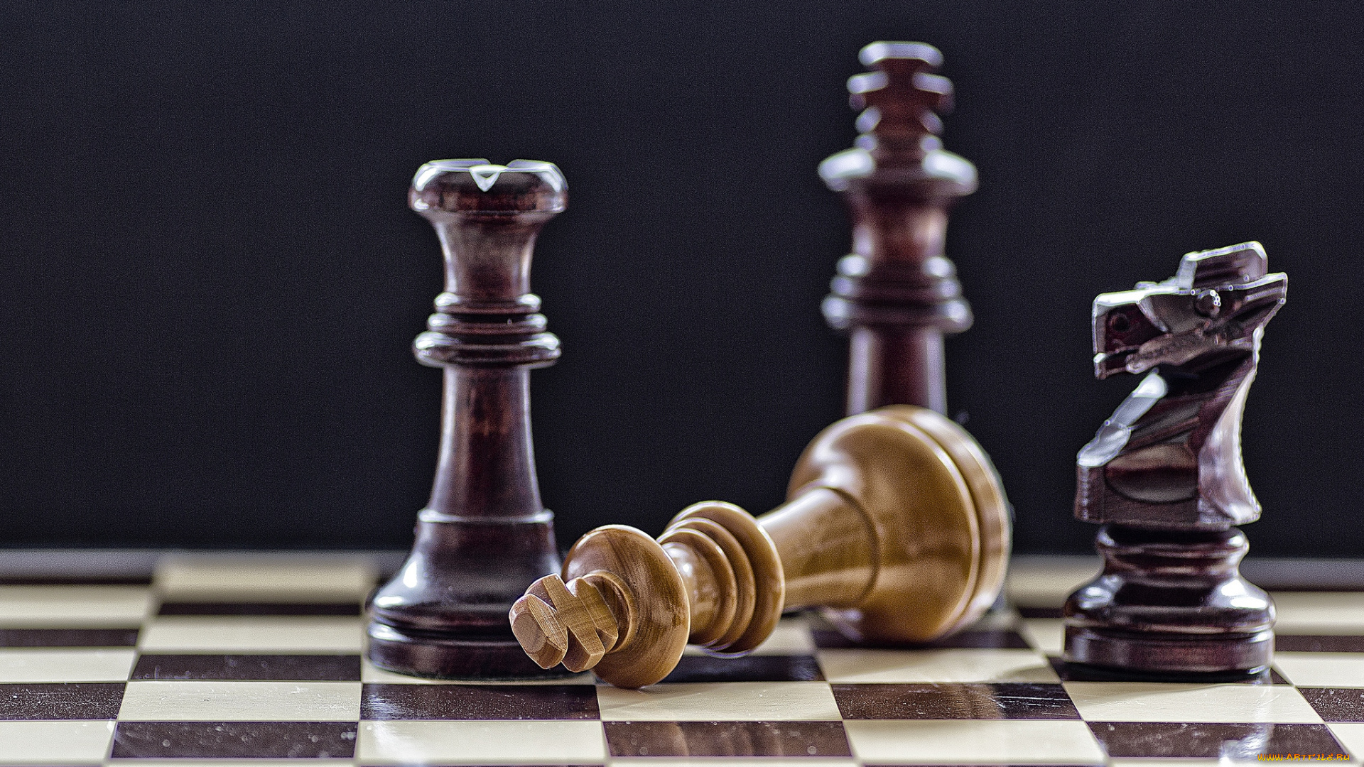 разное, настольные, игры, азартные, фигуры, ферзь, конь, шахматы