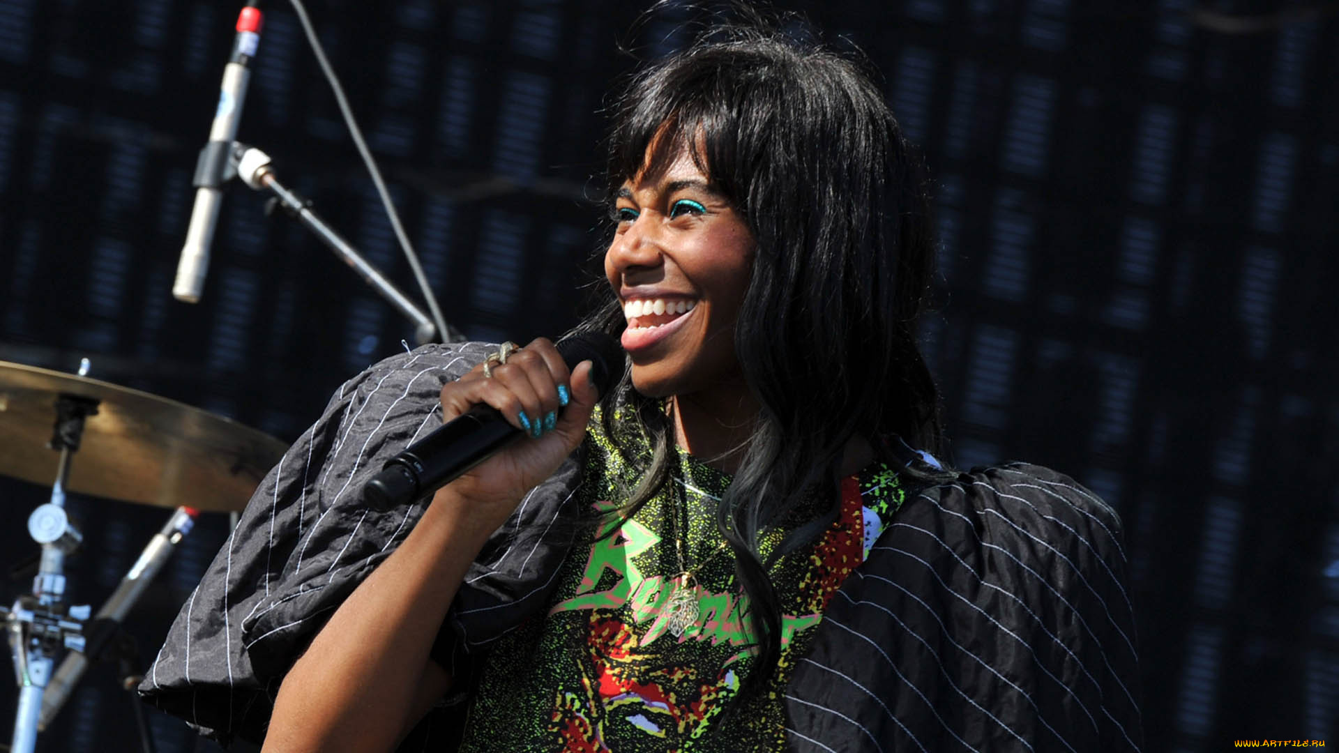 santigold, музыка, другое