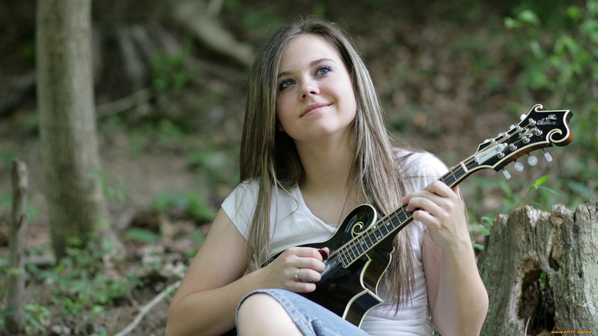 sierra, hull, музыка