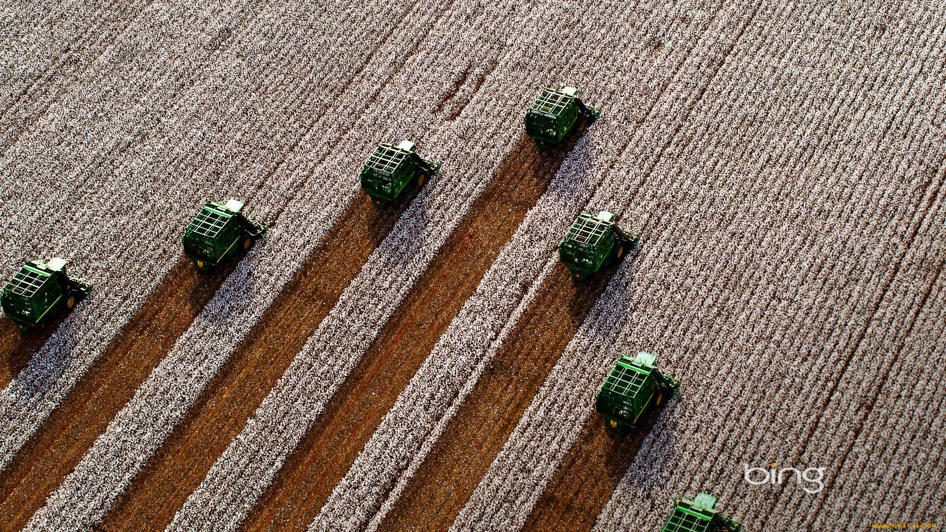 техника, комбайны, поле, уборка, урожай