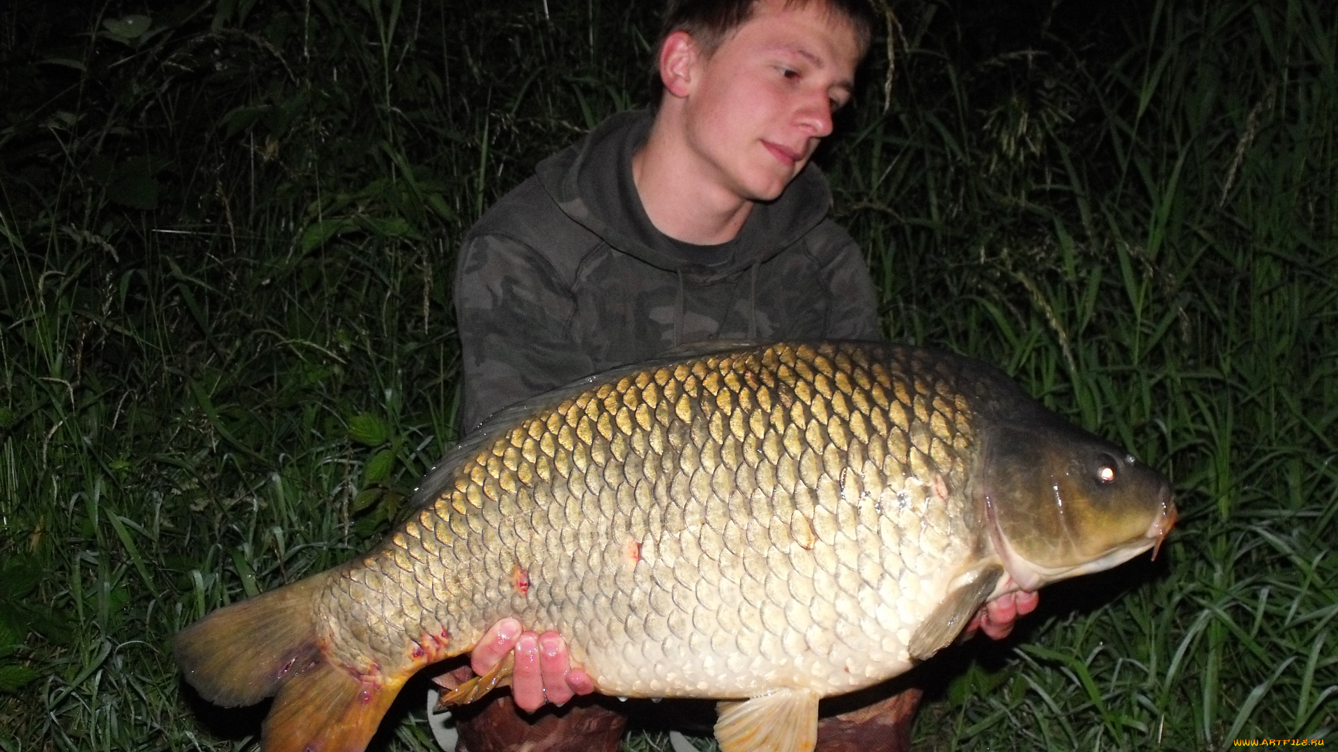 животные, рыбы, рыба, улов