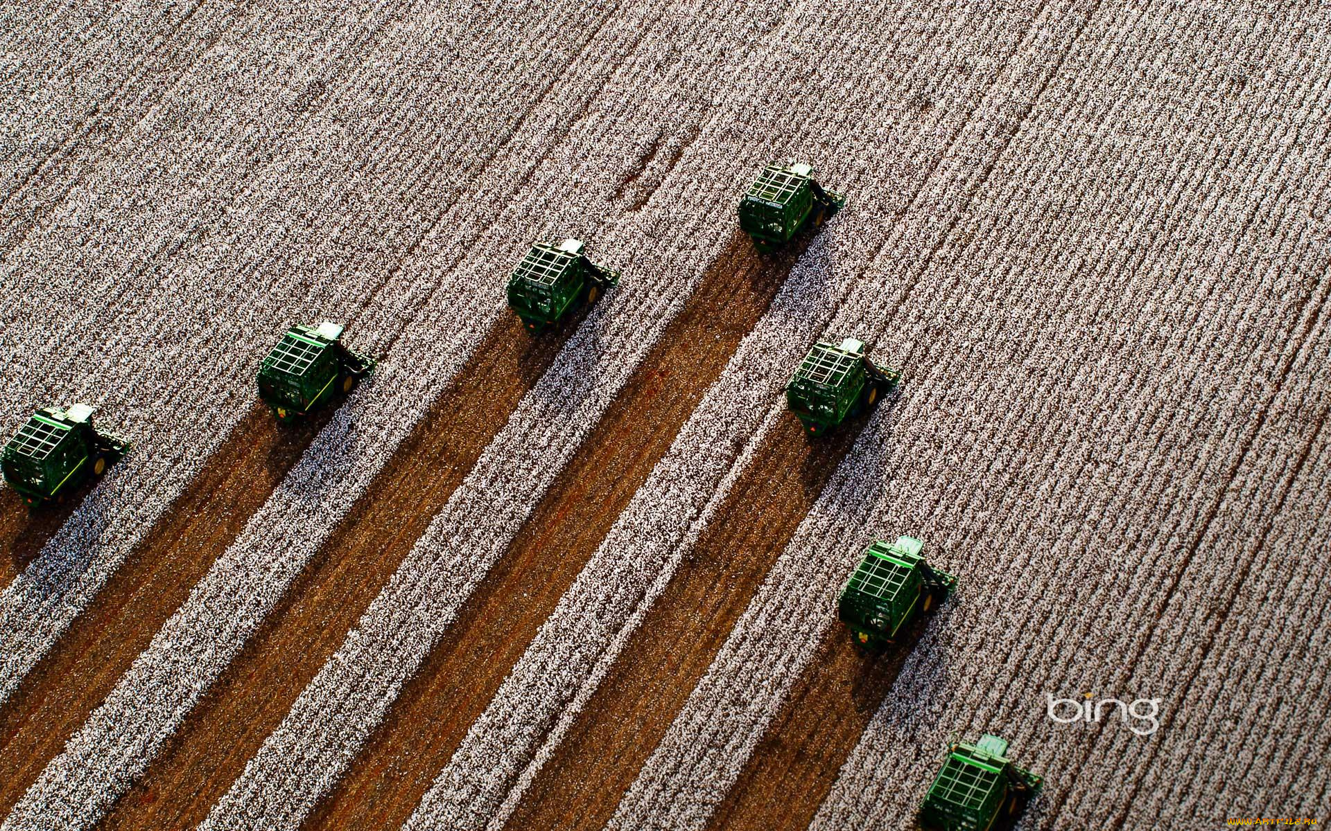 техника, комбайны, поле, уборка, урожай