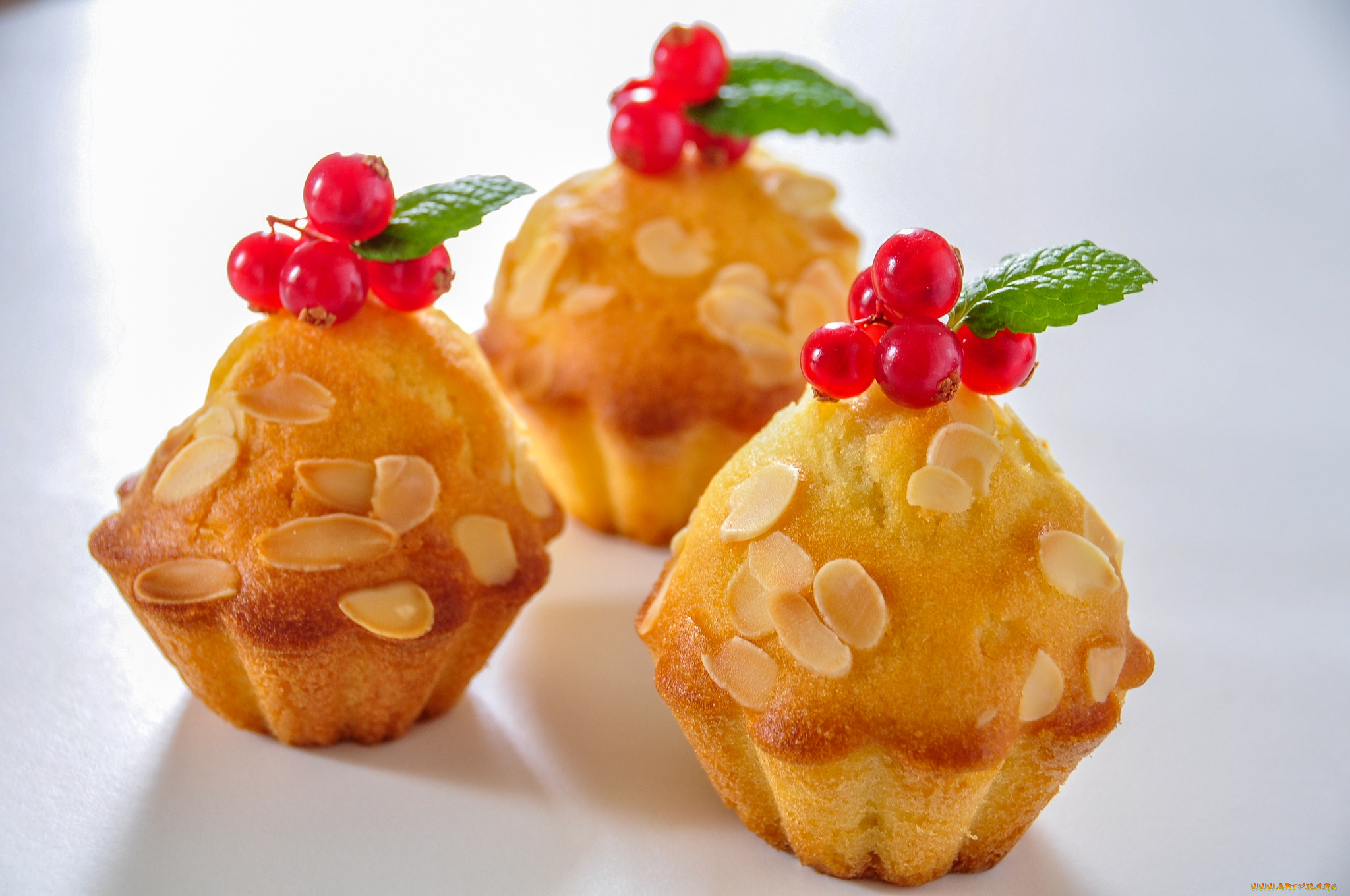 еда, пирожные, кексы, печенье, красная, смородина, миндаль