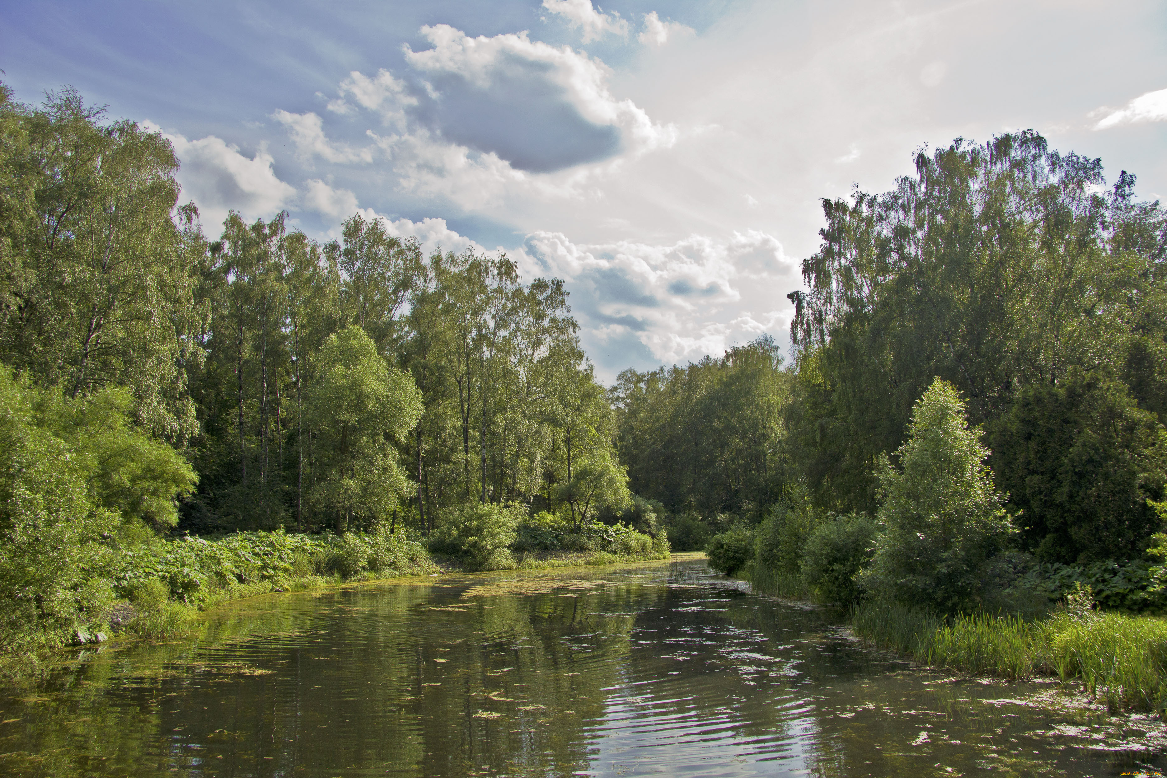 природа, парк, вода, небо, пруд