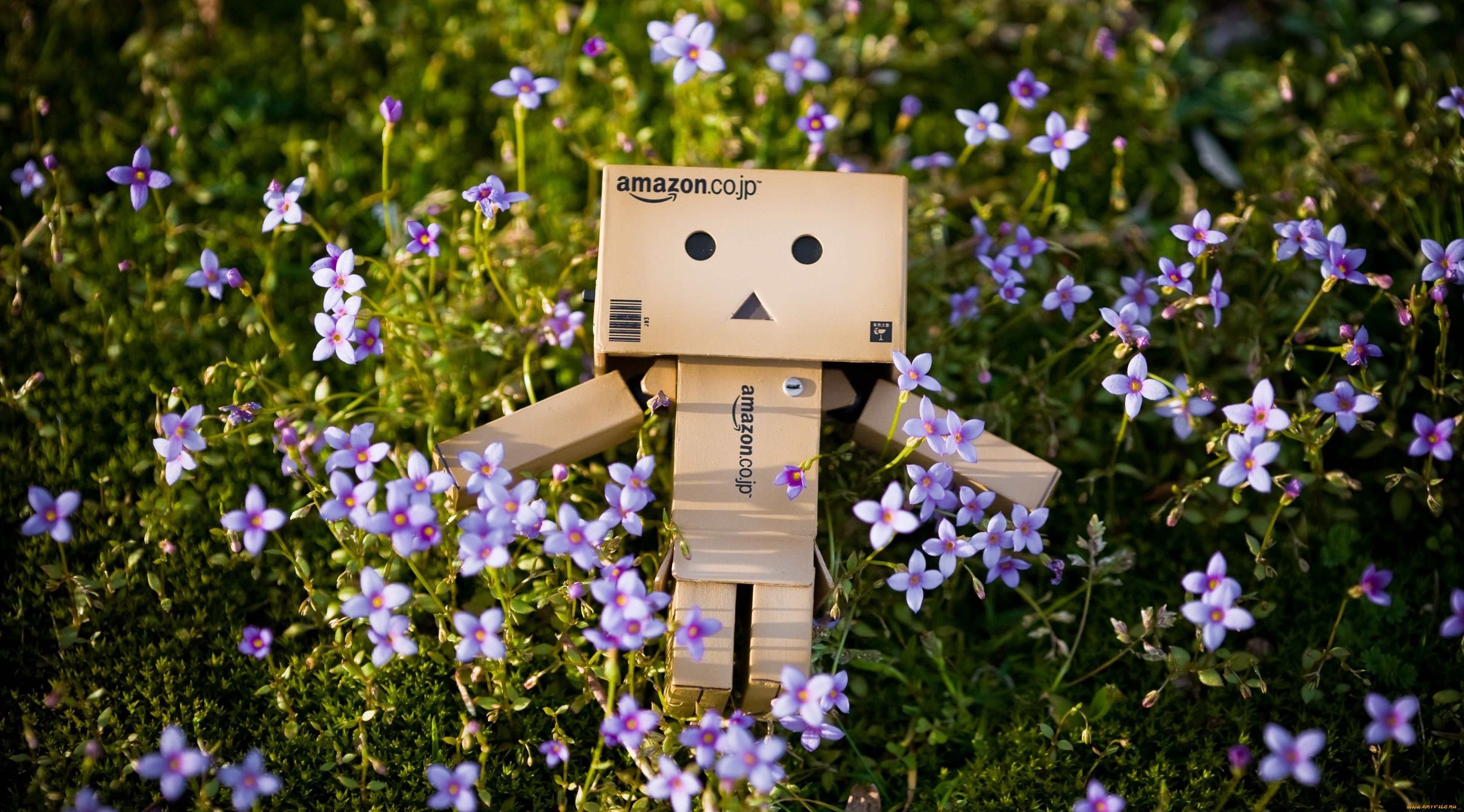 разное, данбо, danboard, цветы, коробочка, danbo