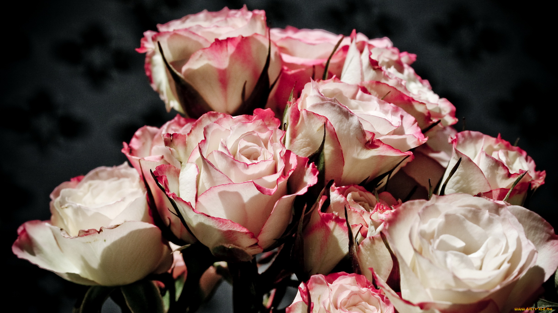 цветы, розы, букет