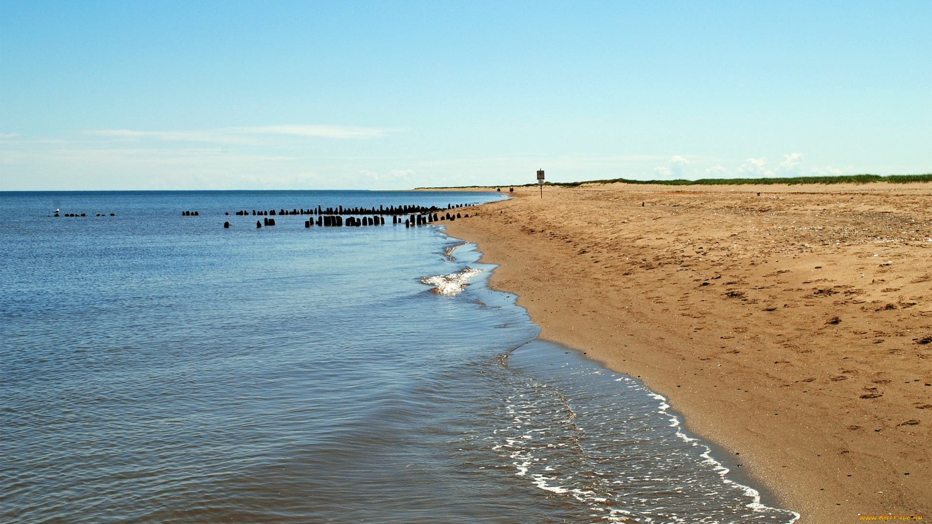 природа, побережье, песок, вода