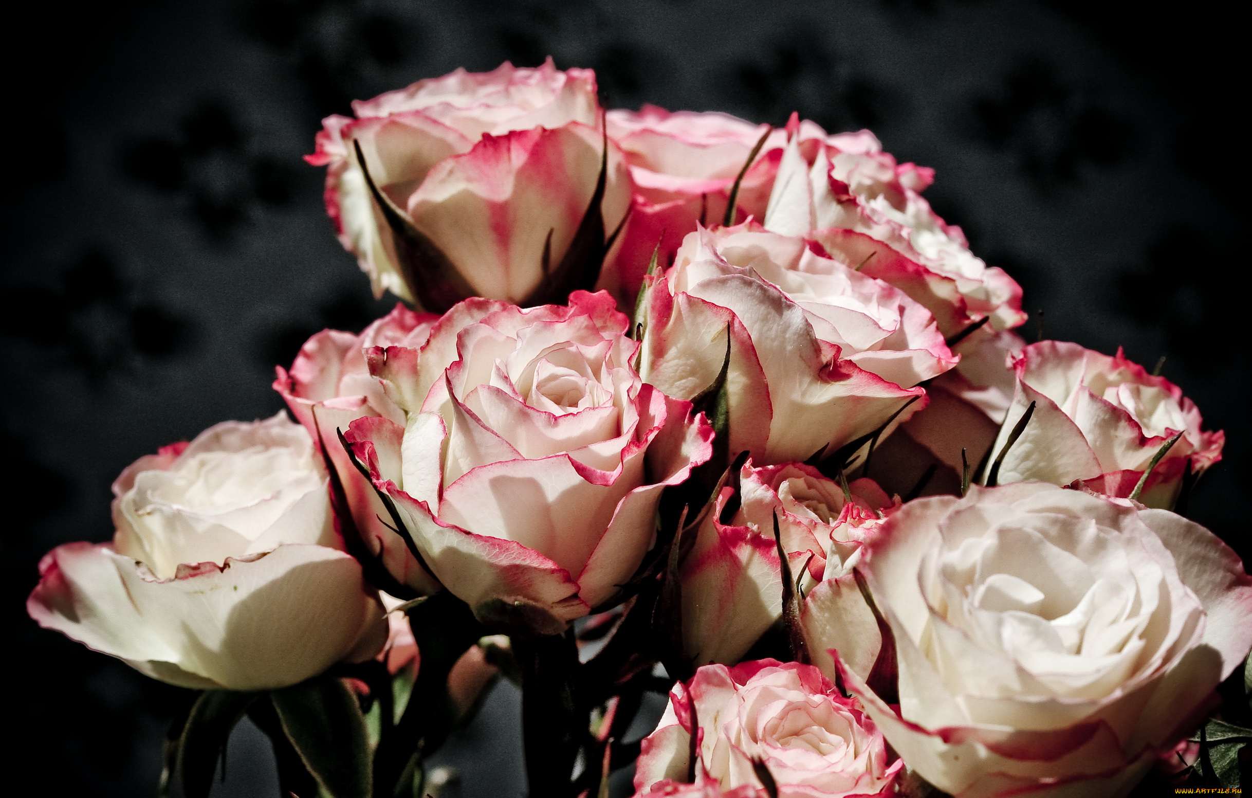 цветы, розы, букет