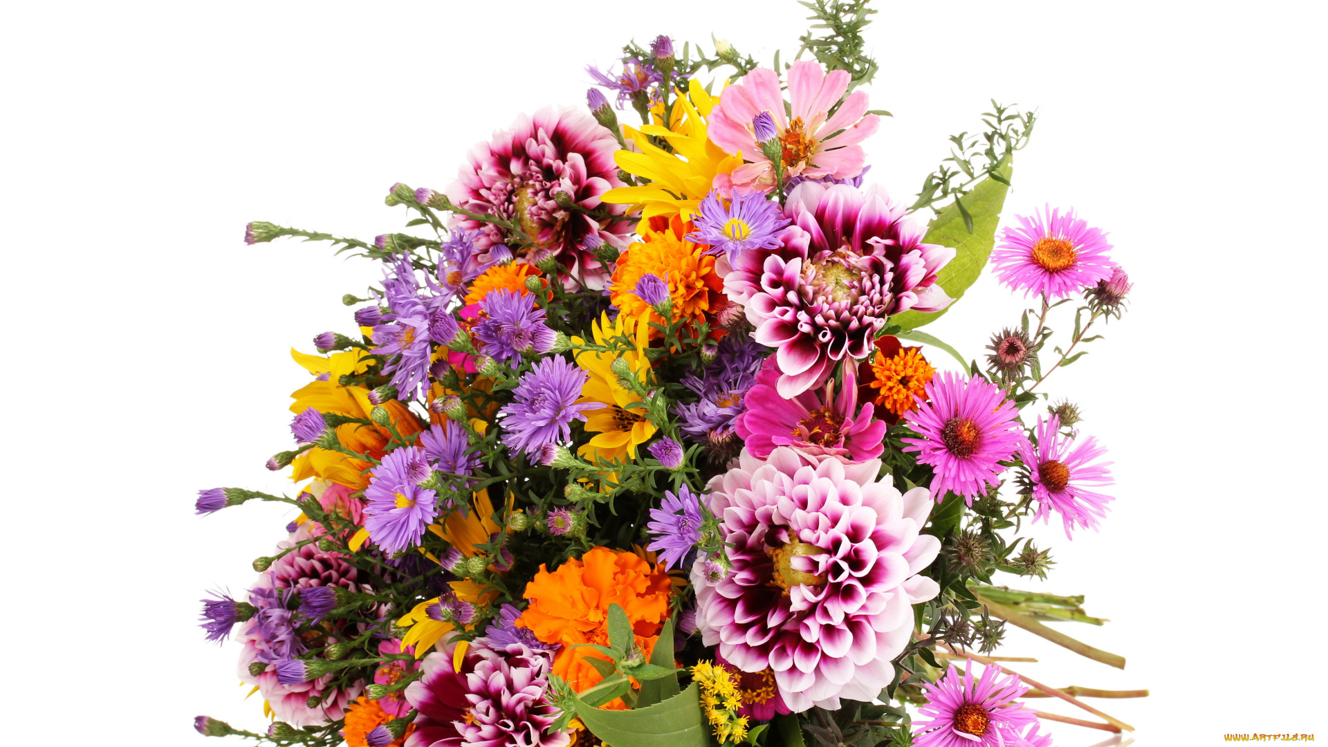 цветы, букеты, , композиции, георгины, букет, астры, бархатцы