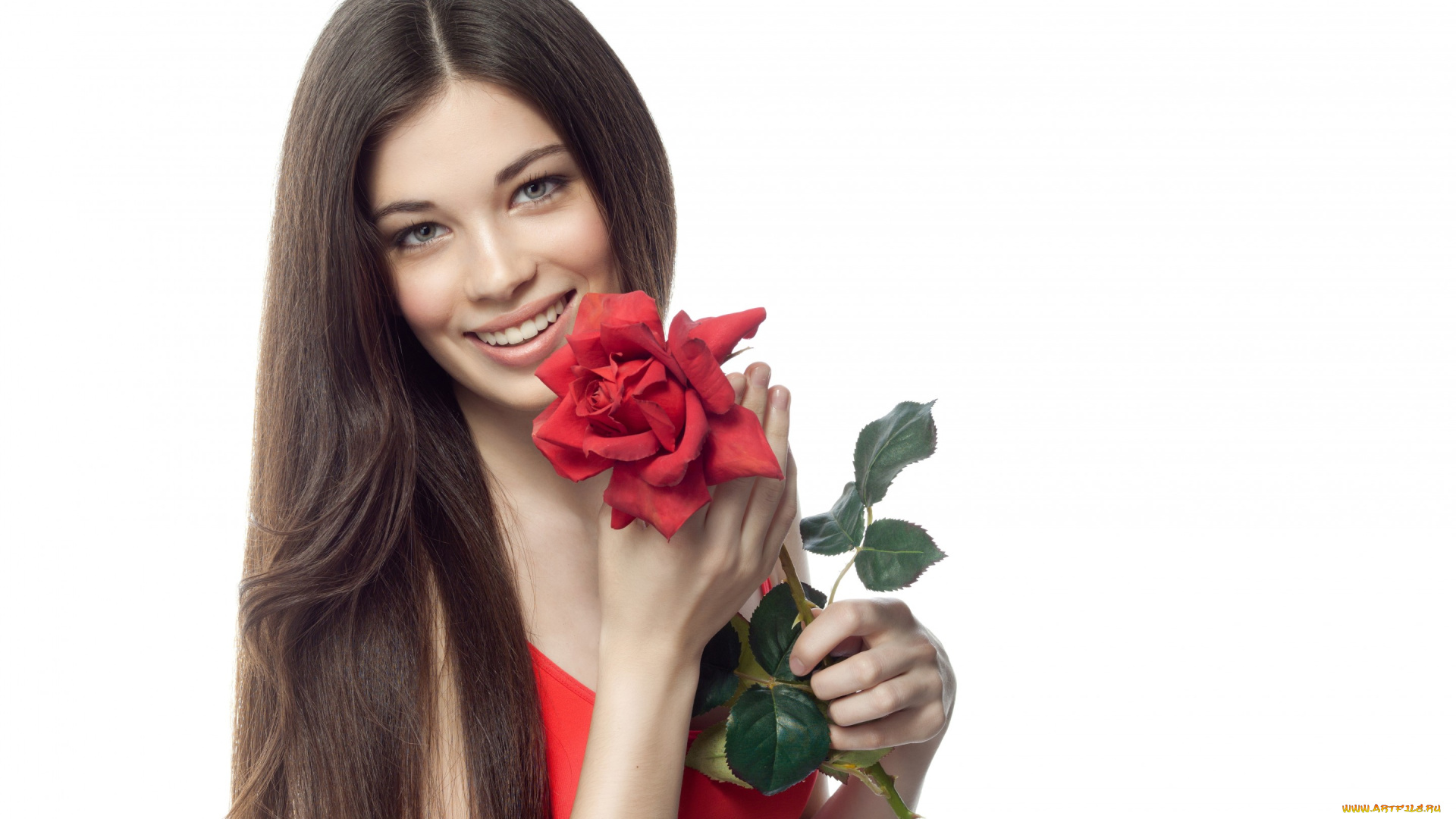 девушки, -unsort, , лица, , портреты, улыбка, девушка, взгляд, белый, фон, цветок, роза