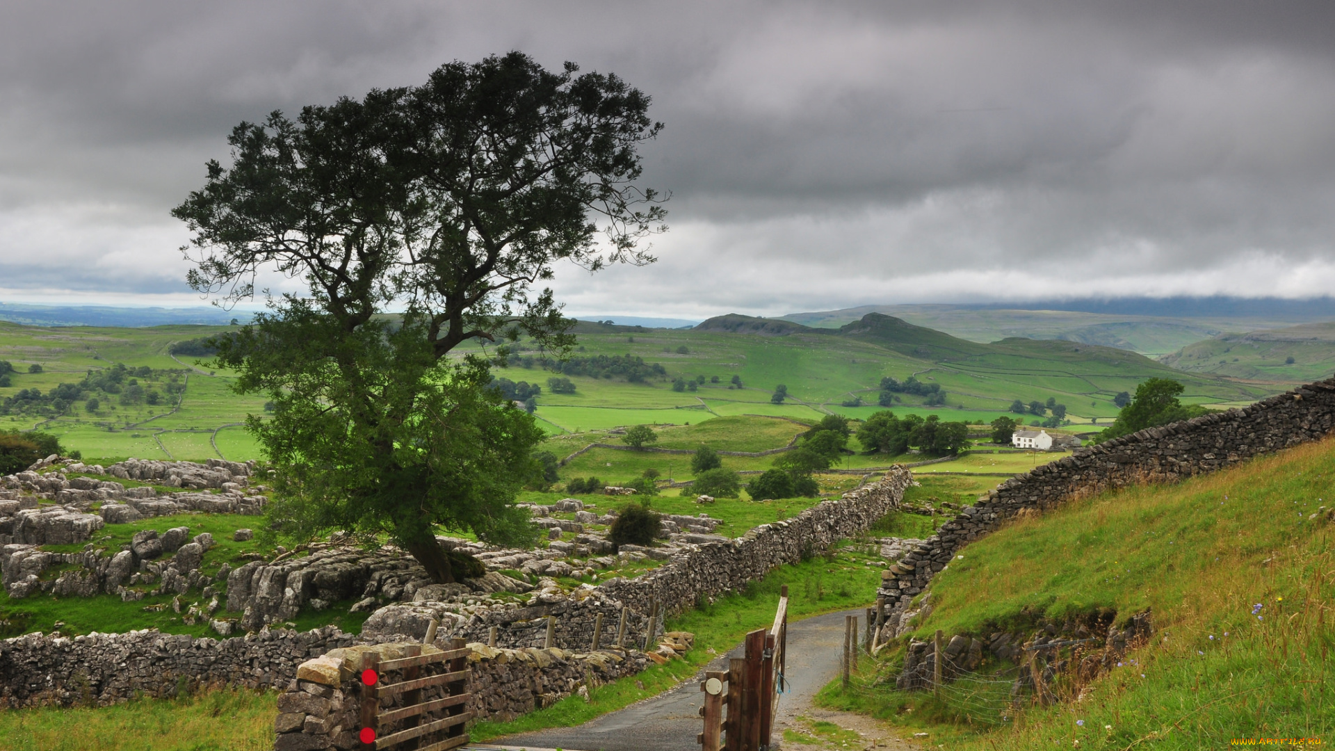 природа, дороги, равнина, изгородь, дорожка