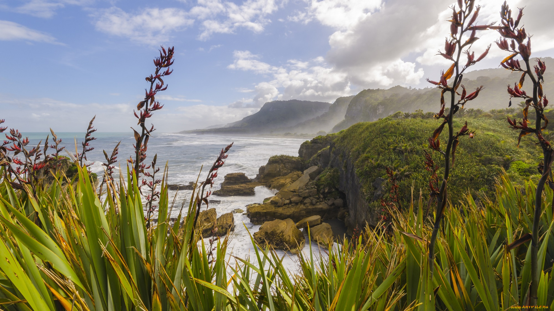 природа, побережье, растительность, скалы, берег, океан