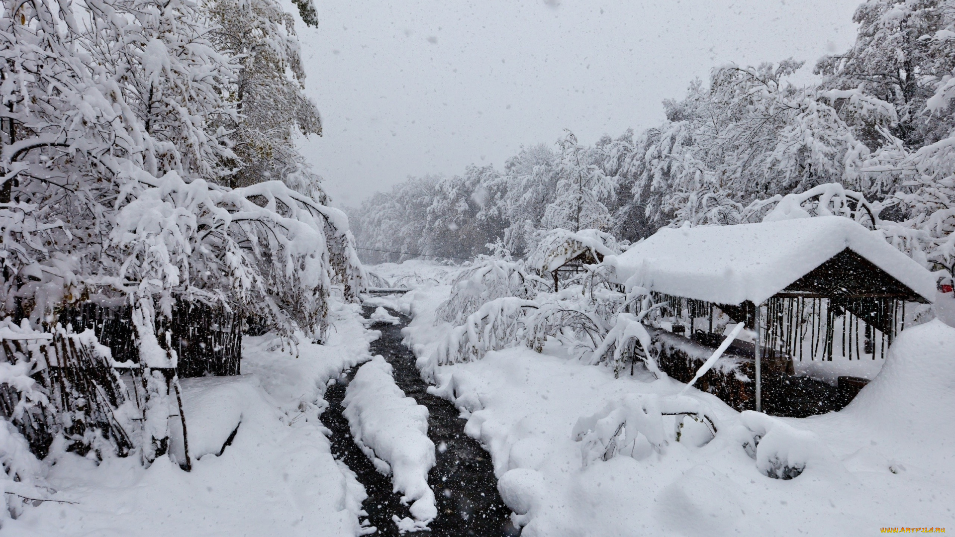 природа, реки, озера, река, снег, деревья