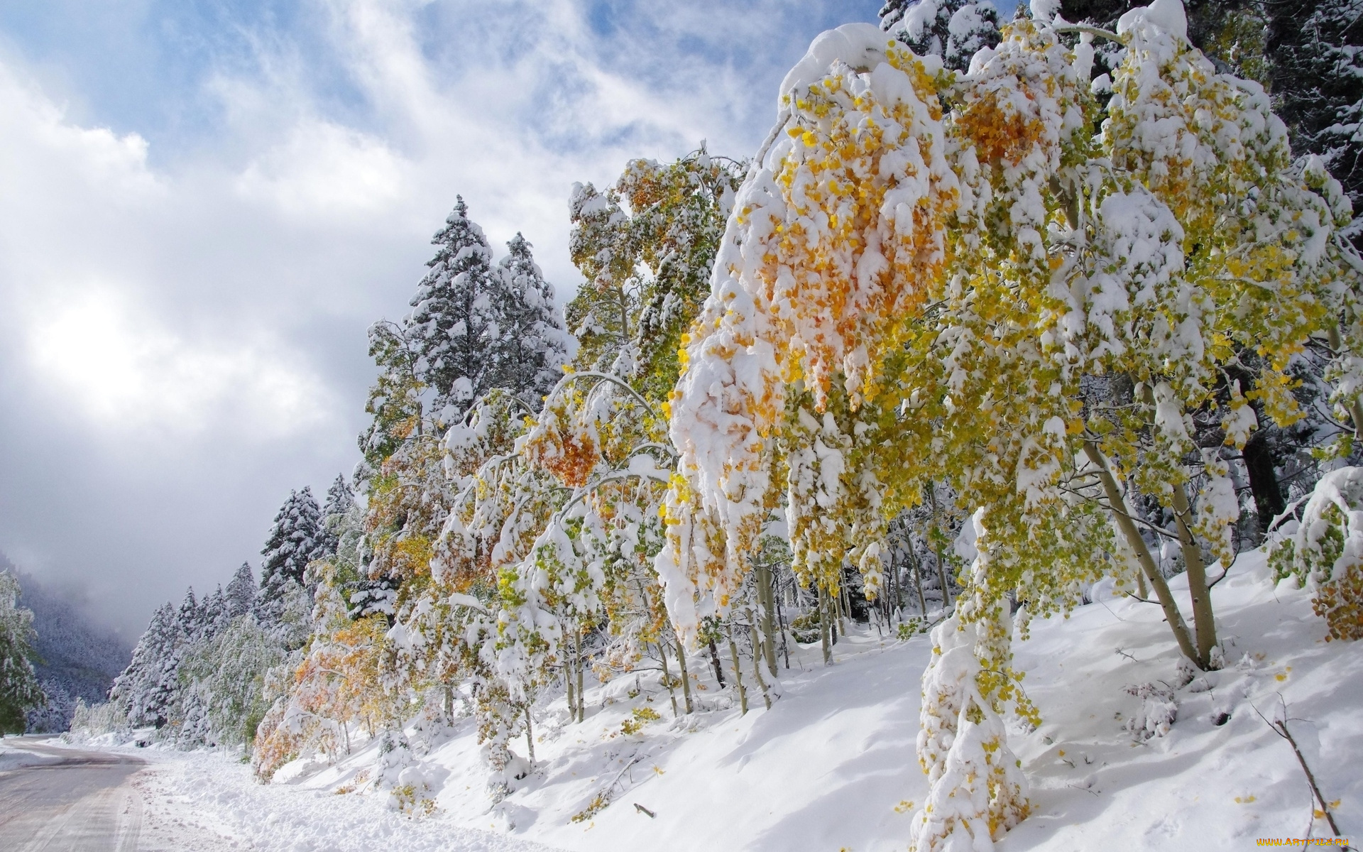 природа, зима, снег, деревья