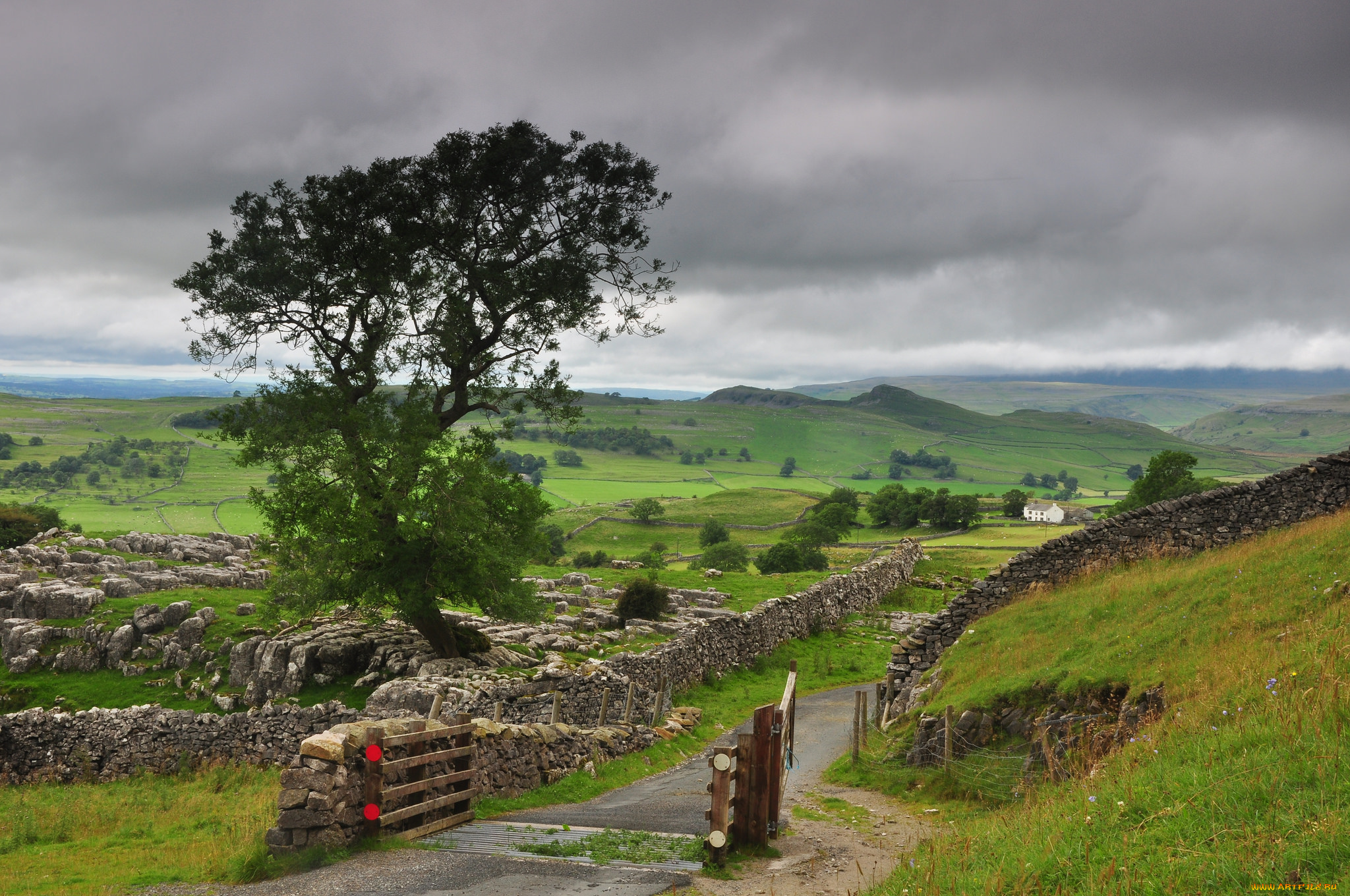 природа, дороги, равнина, изгородь, дорожка