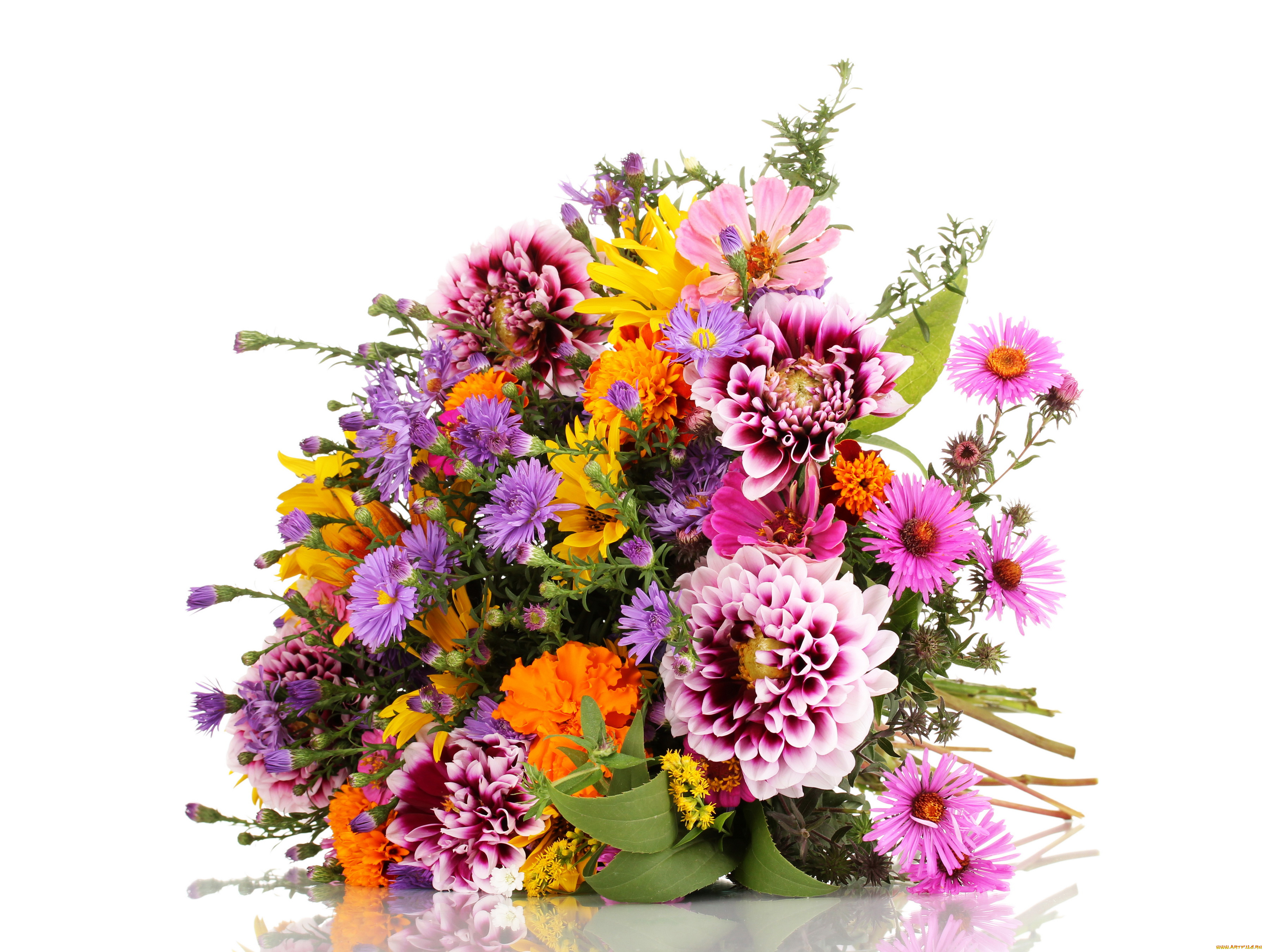 цветы, букеты, , композиции, георгины, букет, астры, бархатцы