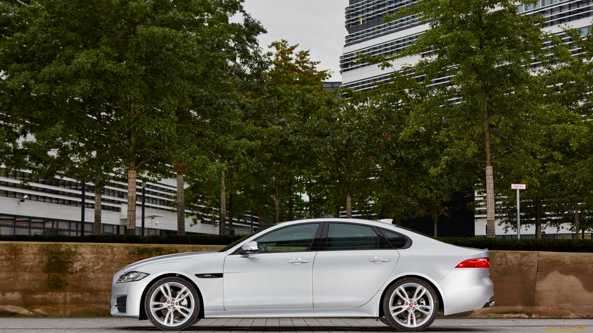 автомобили, jaguar