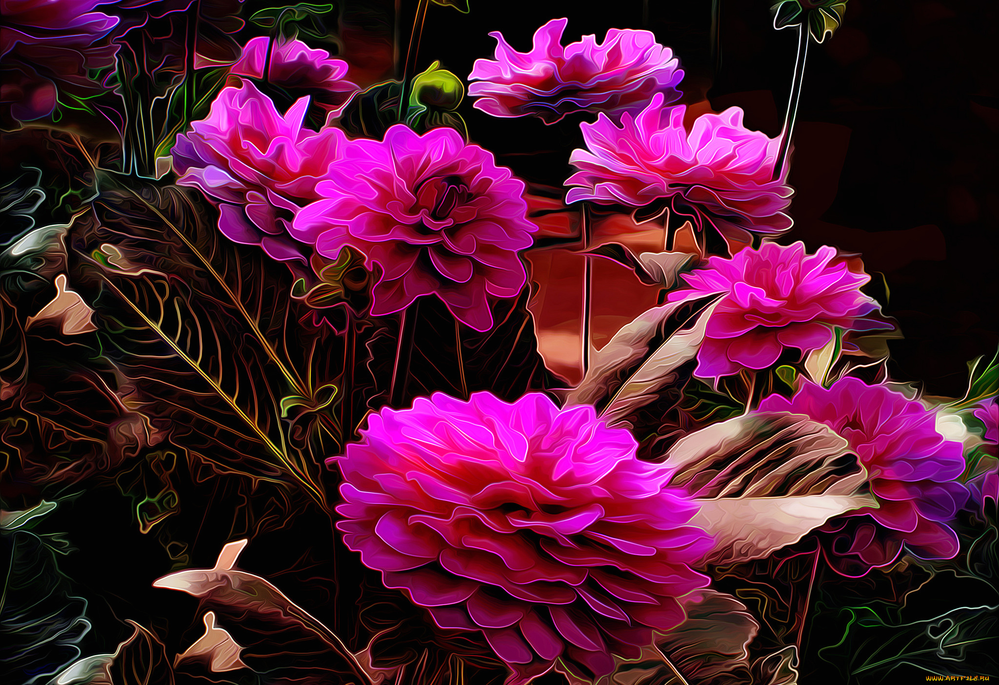 разное, компьютерный, дизайн, фон, цветы, краски, линии