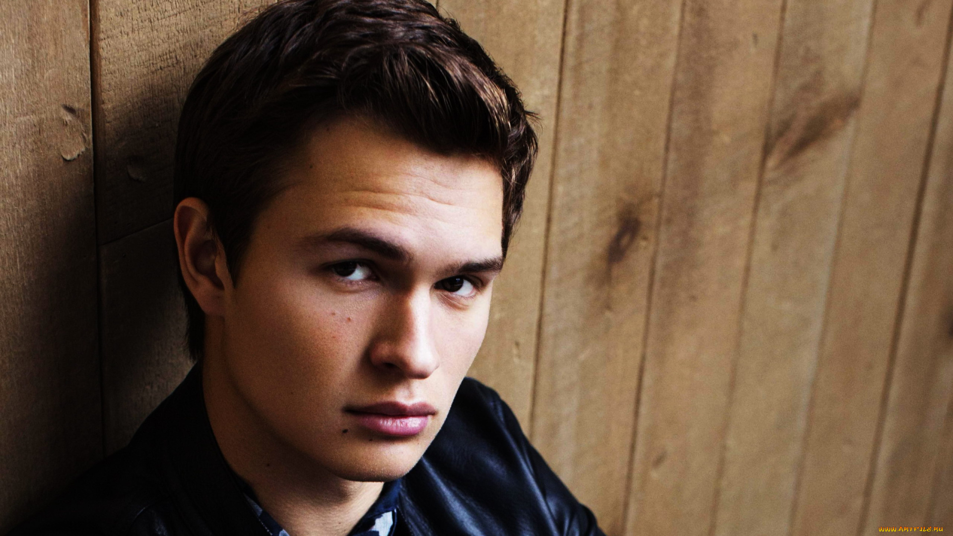 ansel, elgort, мужчины, взгляд