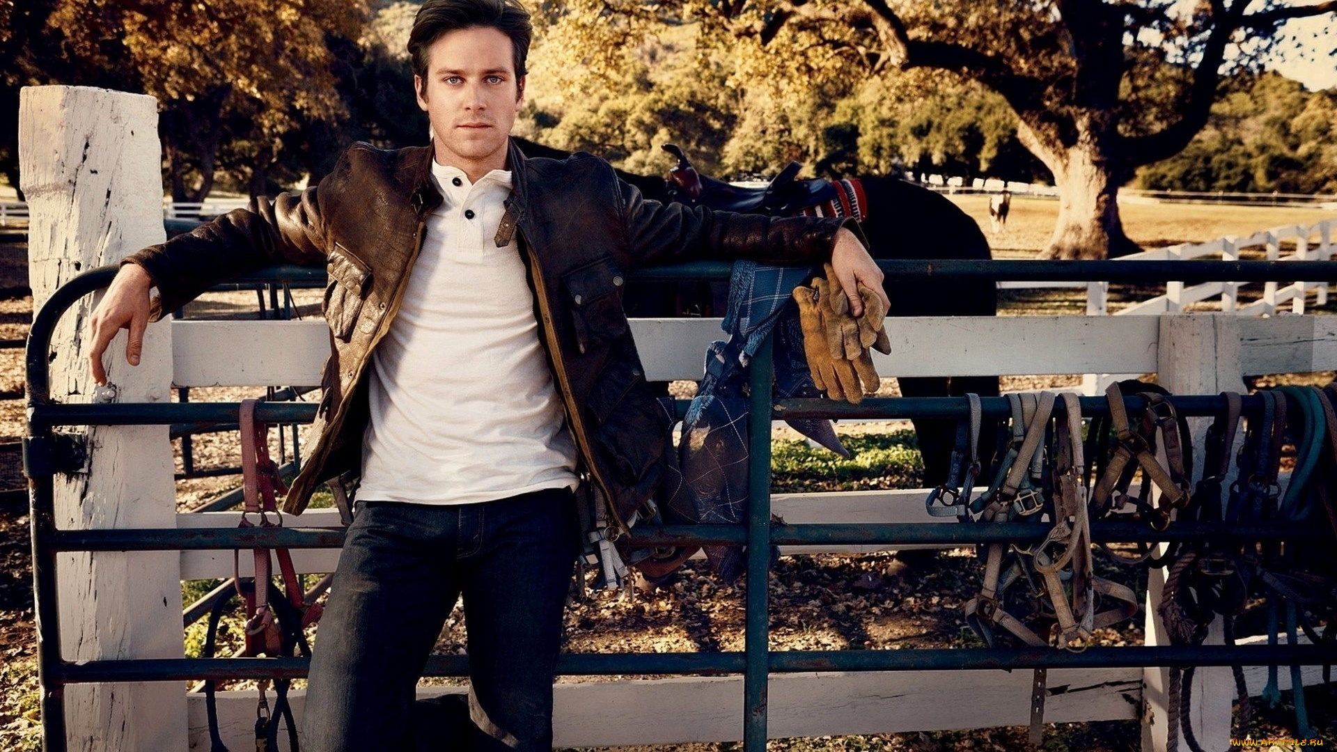 armie, hammer, мужчины, куртка, перчатки