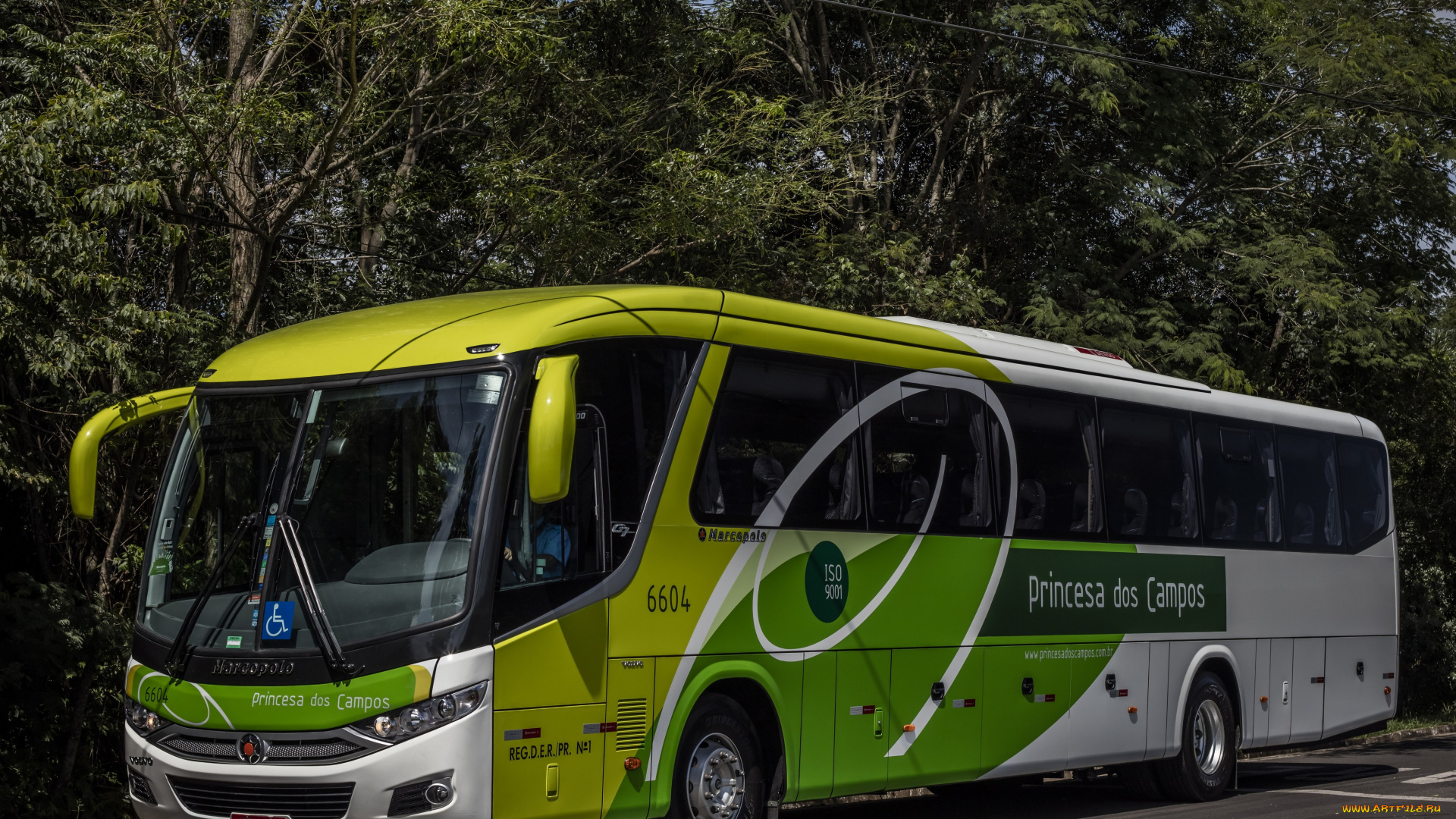 автомобили, автобусы, marcopolo