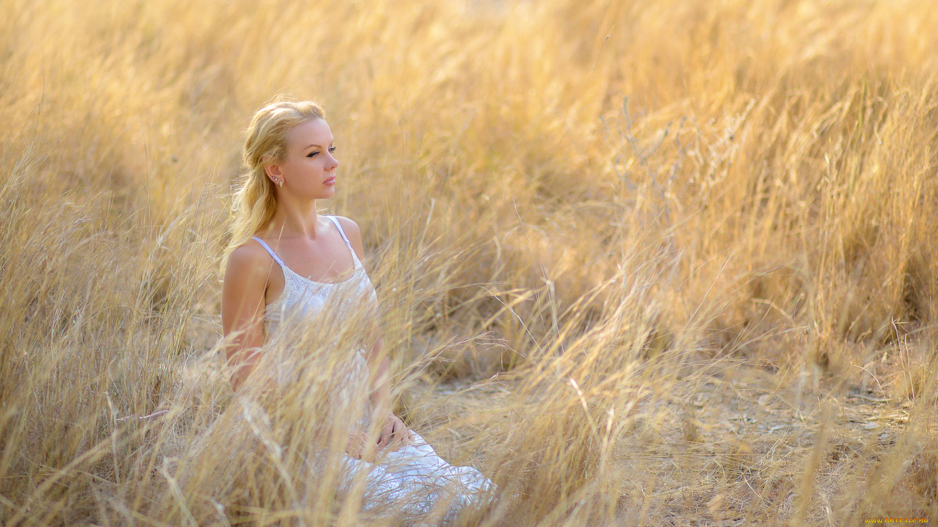 девушки, -unsort, , блондинки, поле, девушка, трава