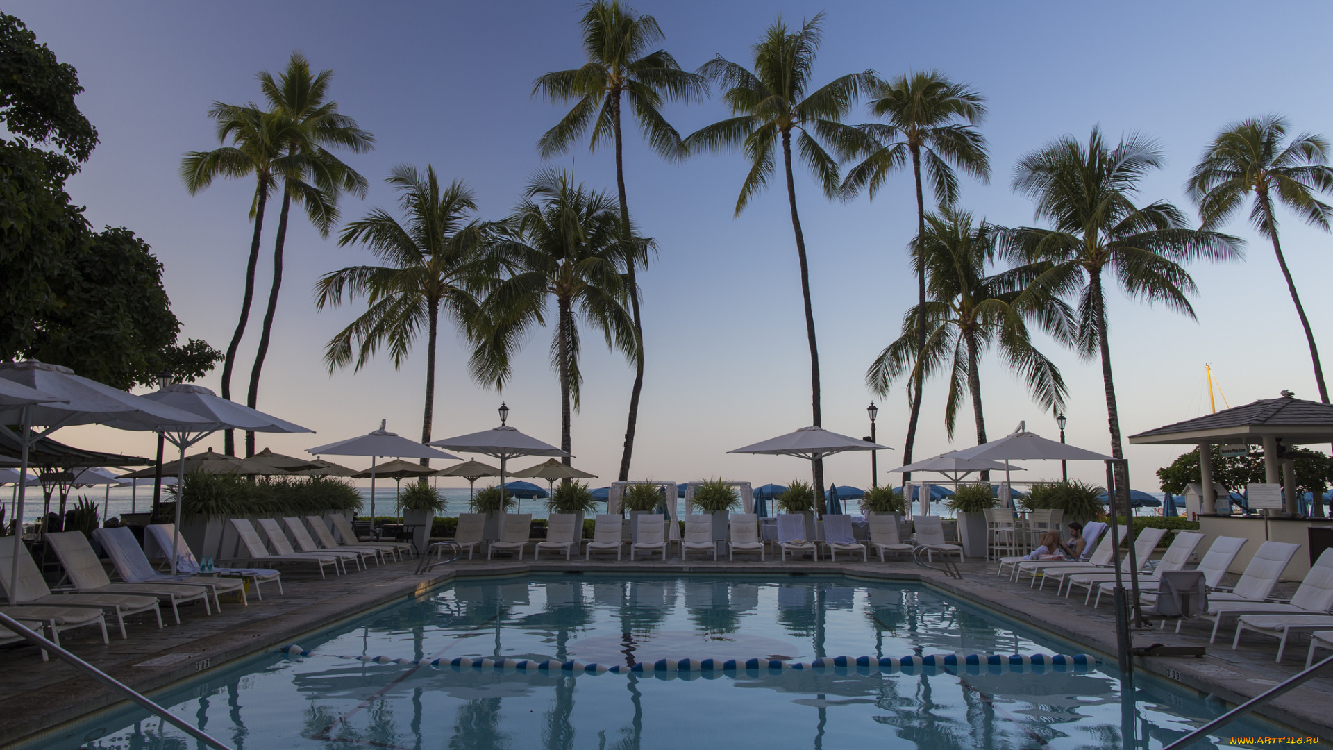 интерьер, бассейны, , открытые, площадки, тропики