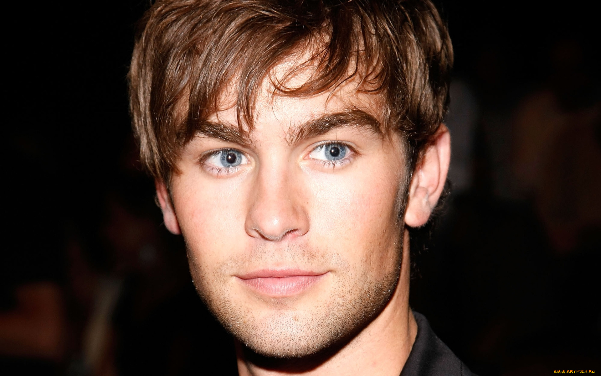 chace, crawford, мужчины, взгляд