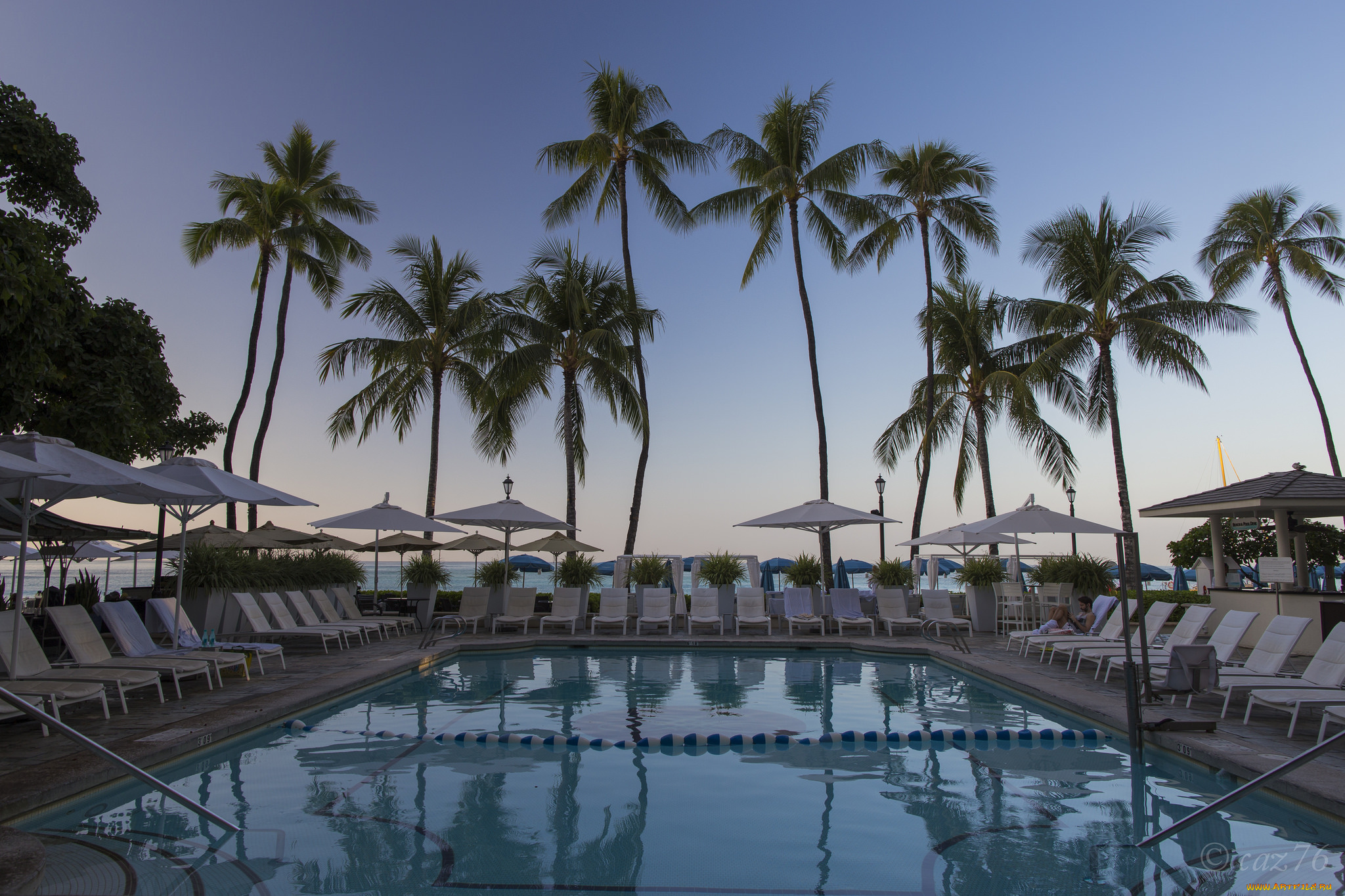 интерьер, бассейны, , открытые, площадки, тропики