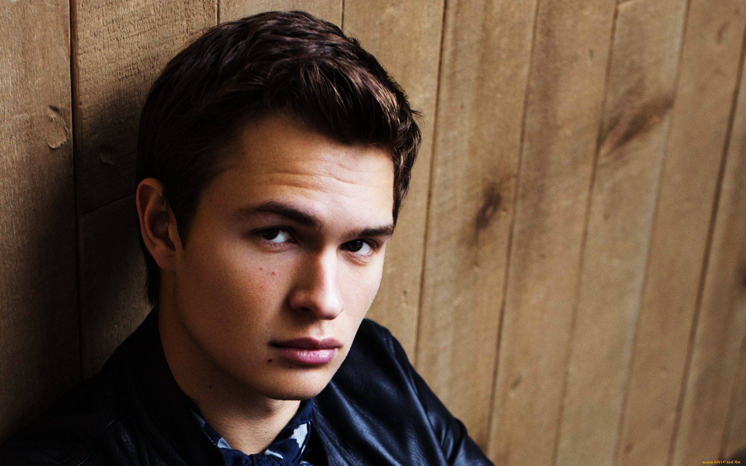 ansel, elgort, мужчины, взгляд