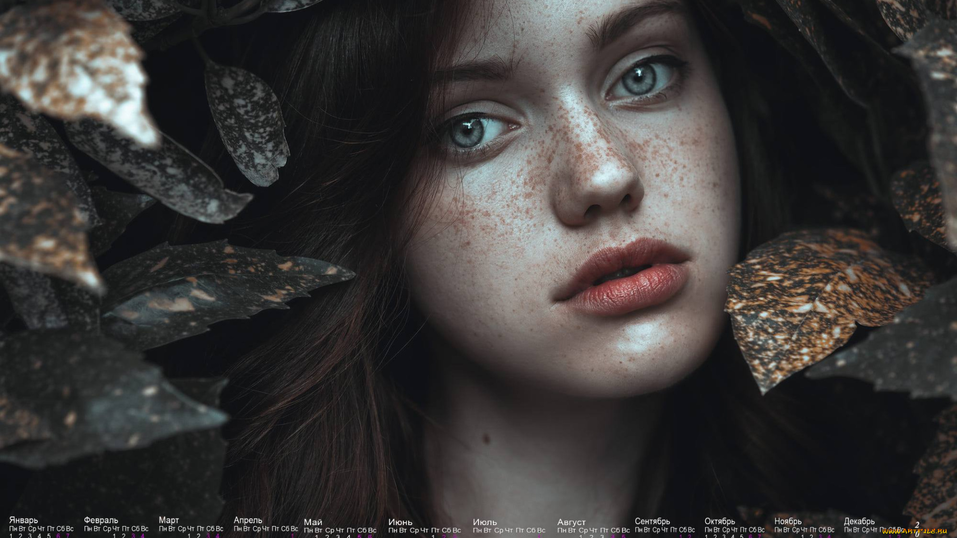 календари, девушки, листья, лицо, взгляд
