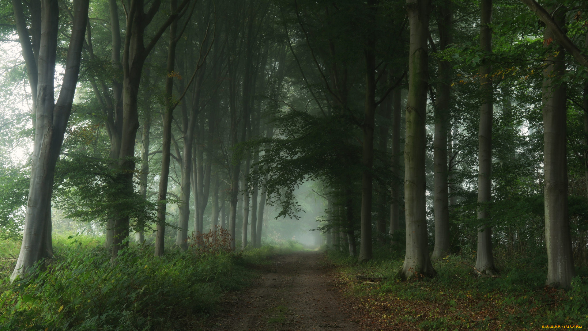 природа, дороги, простор