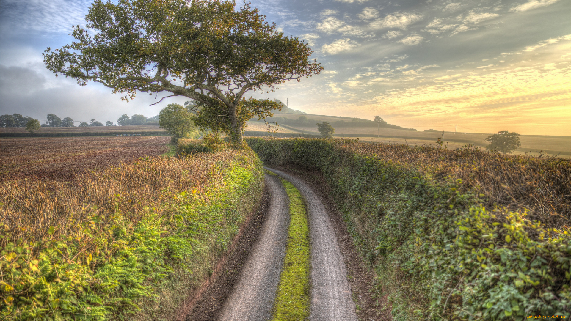 природа, дороги, простор