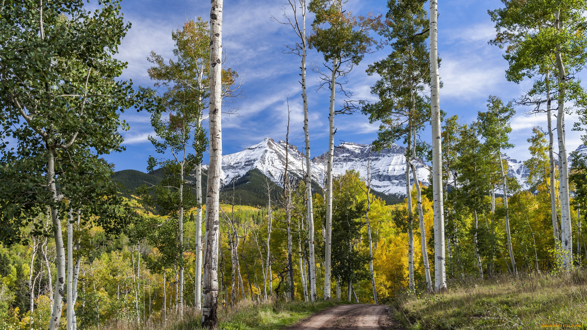 природа, дороги, простор