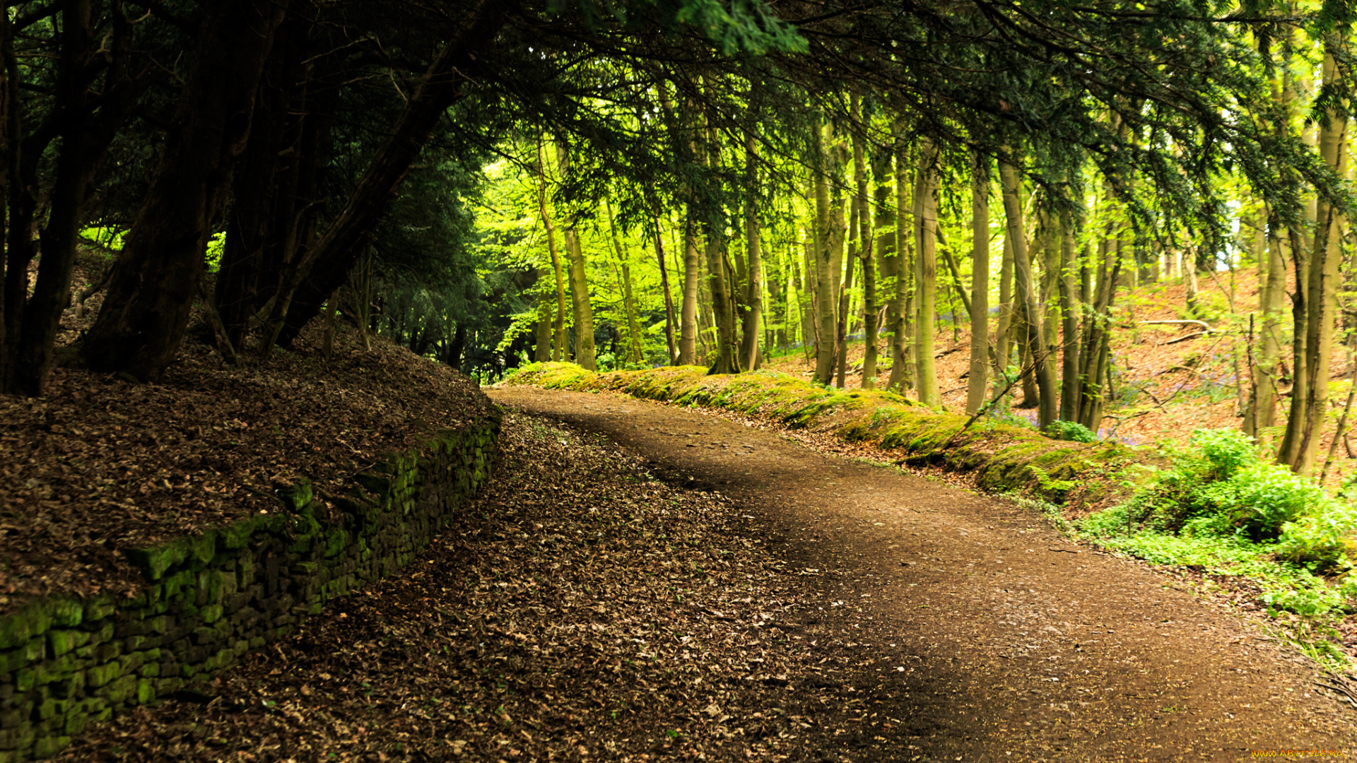 природа, дороги, простор