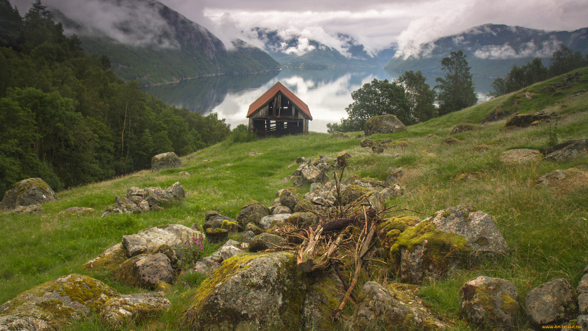 природа, горы, простор