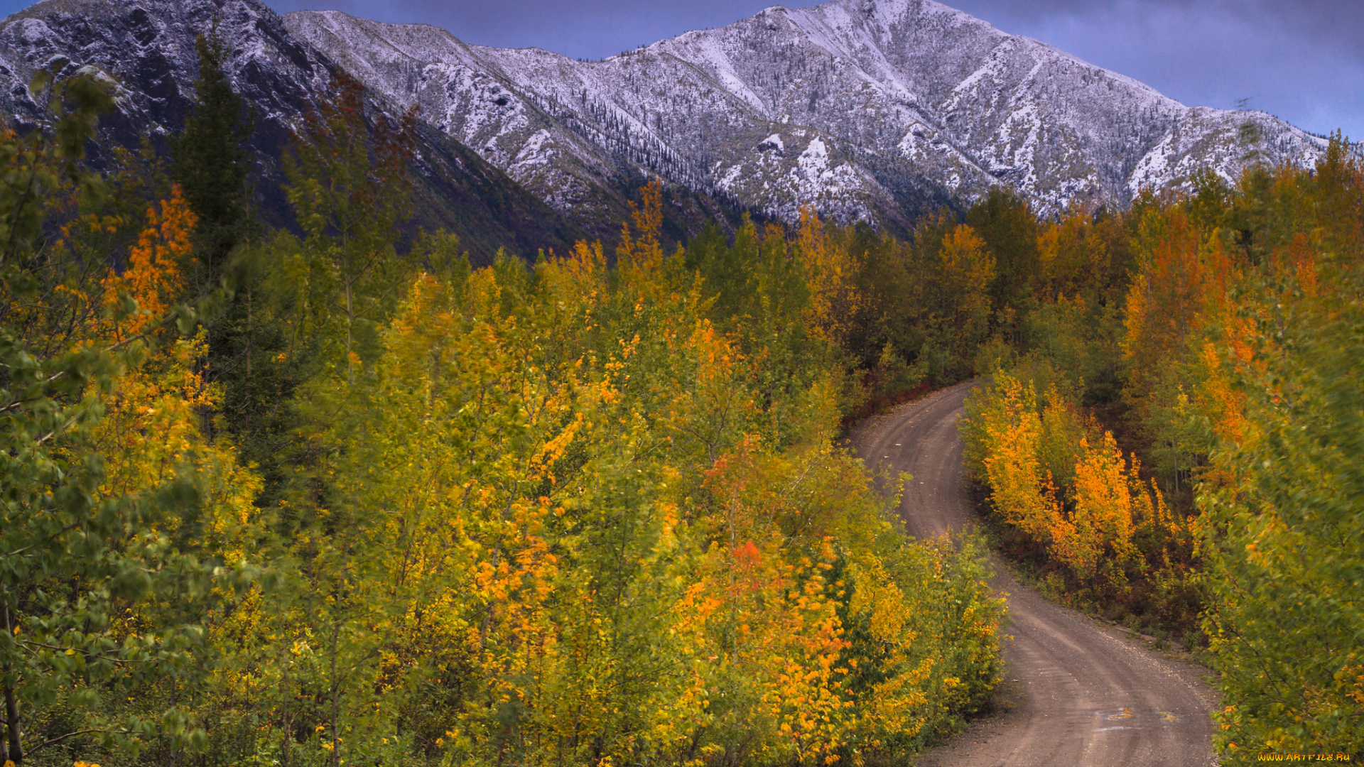 природа, горы, простор