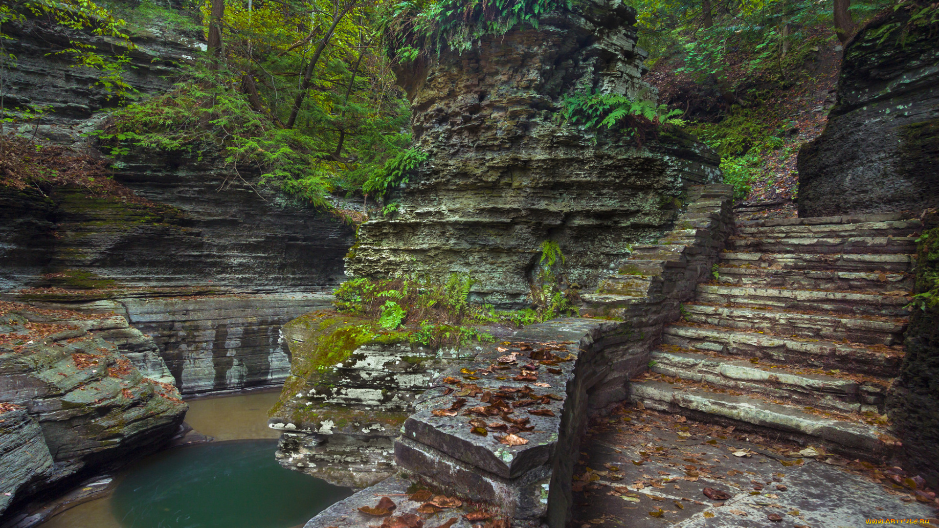 природа, горы, простор