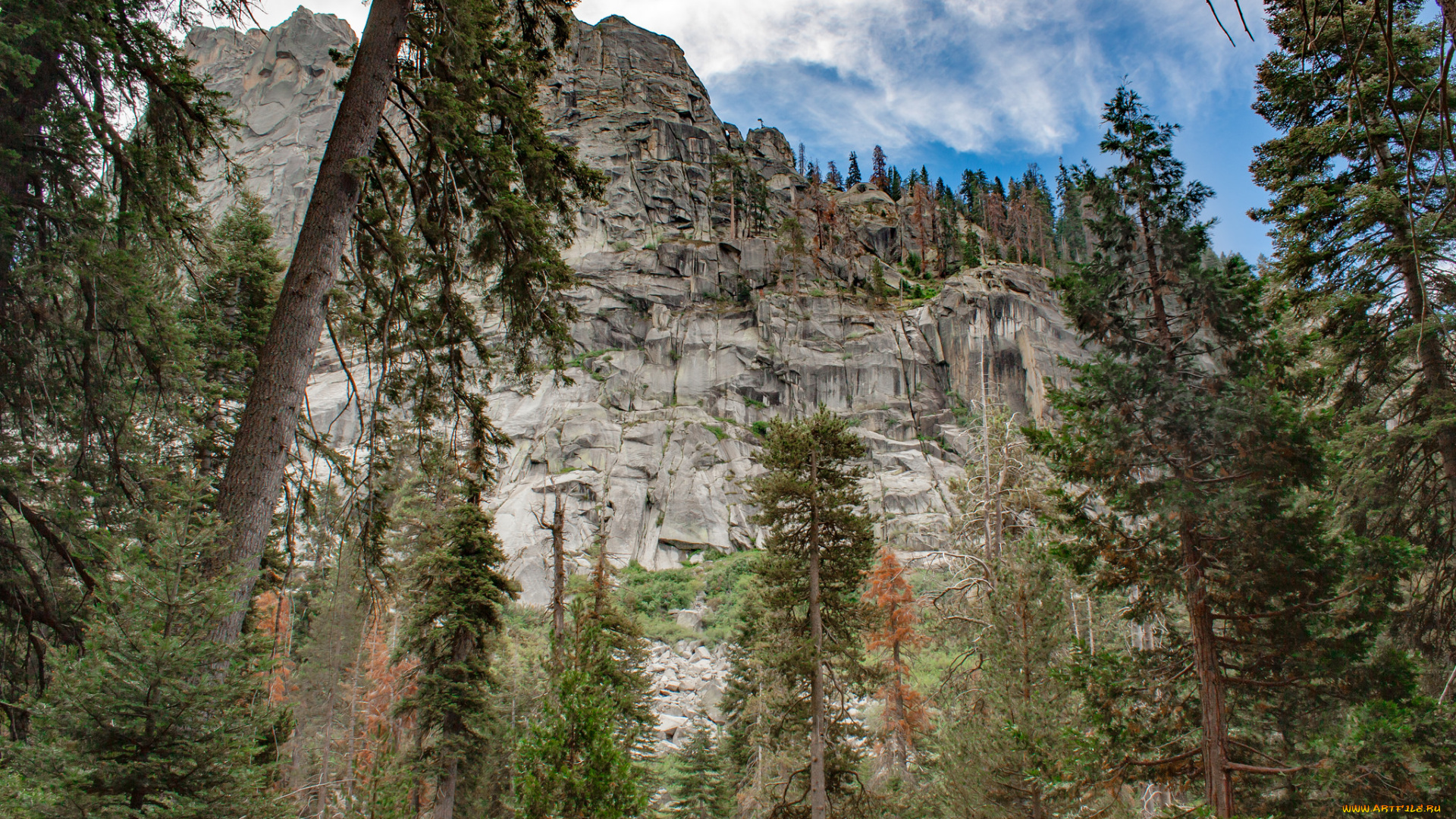 природа, горы, простор