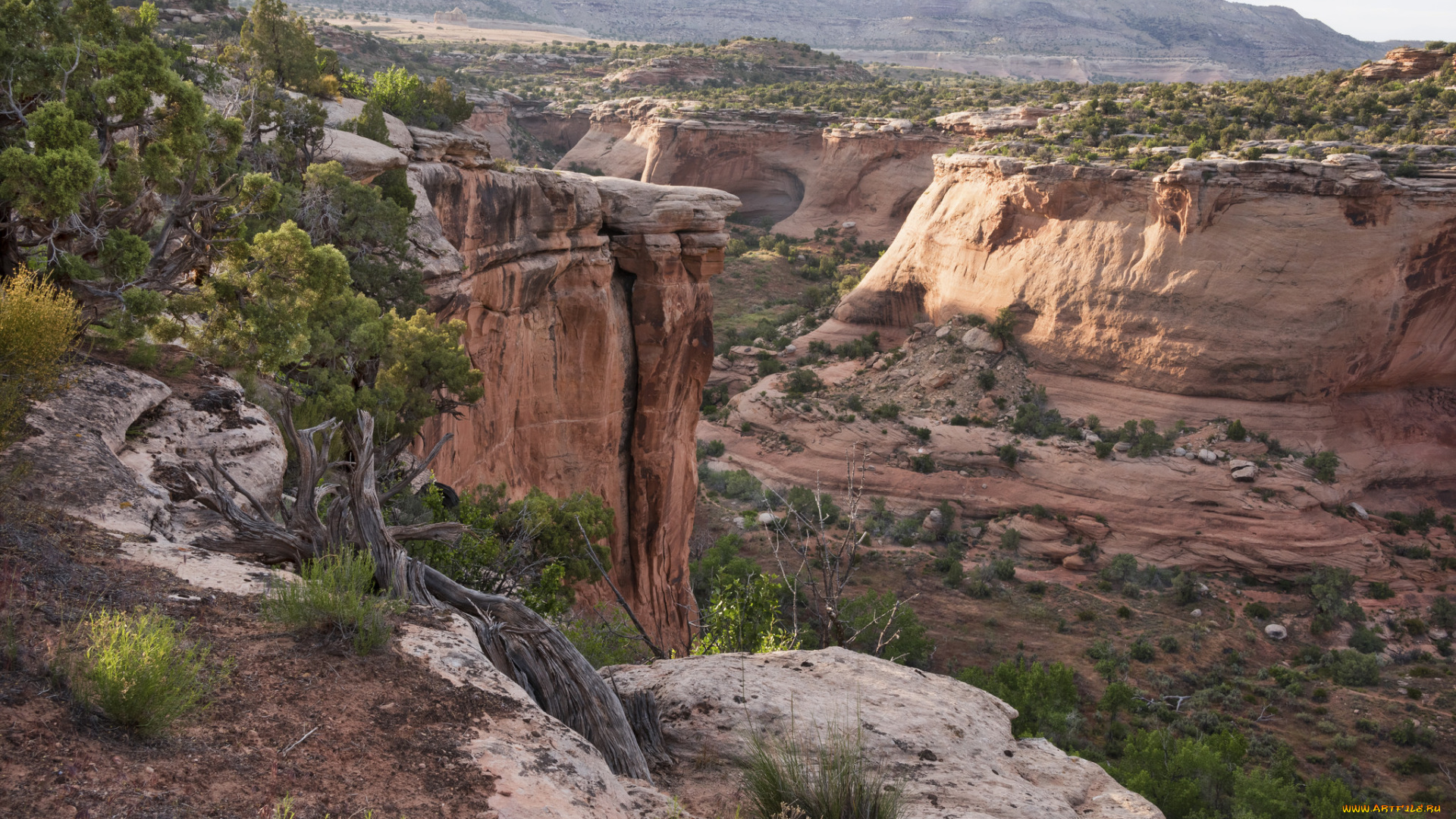 природа, горы, простор