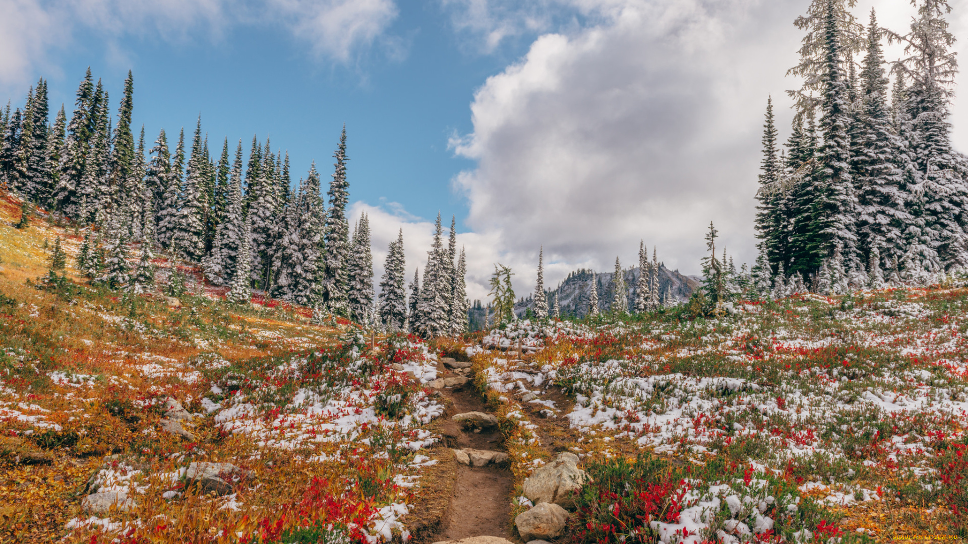 природа, пейзажи, простор