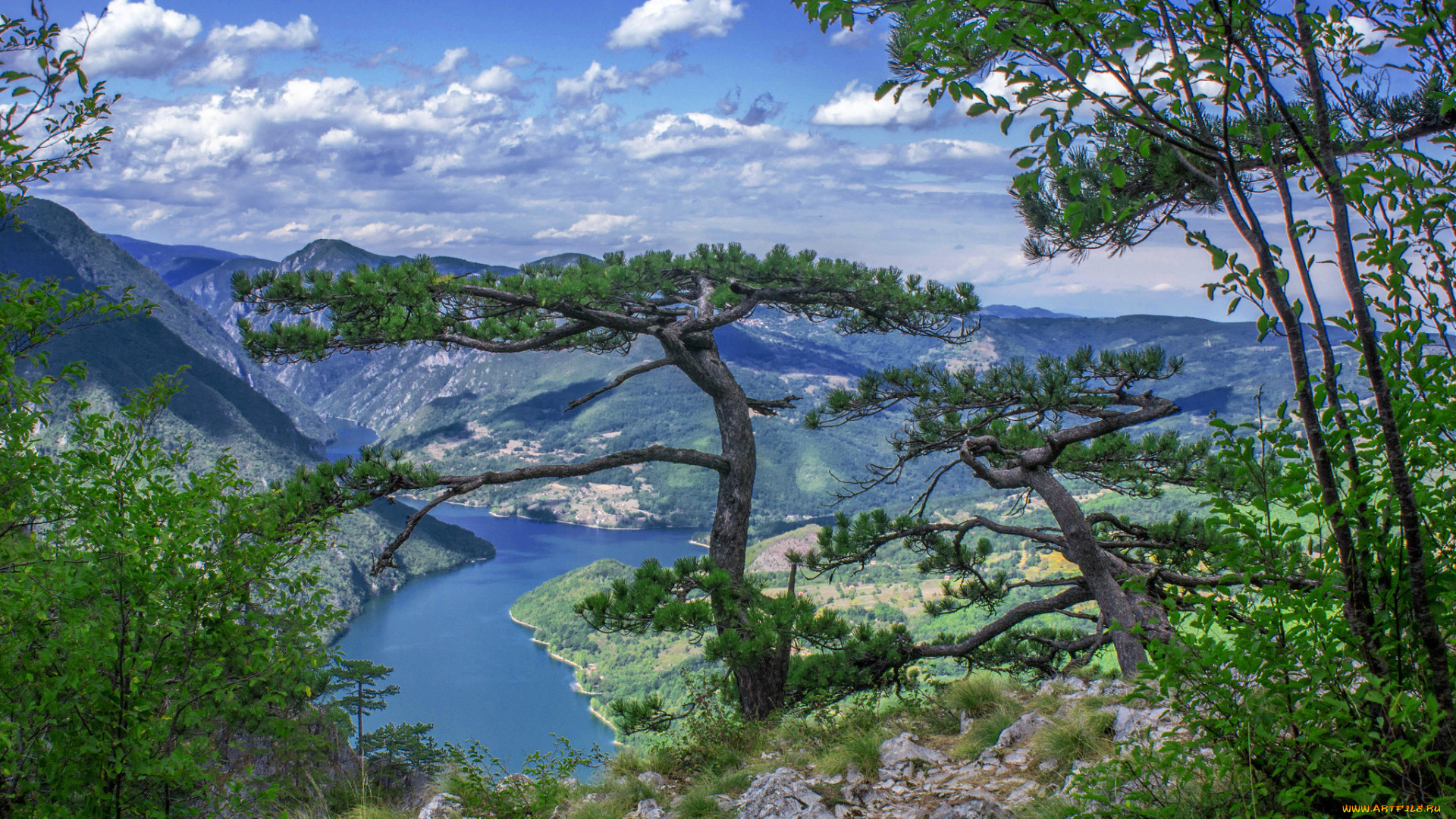 природа, пейзажи, простор