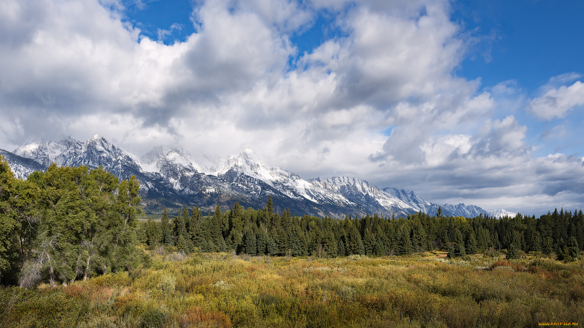 природа, пейзажи, простор
