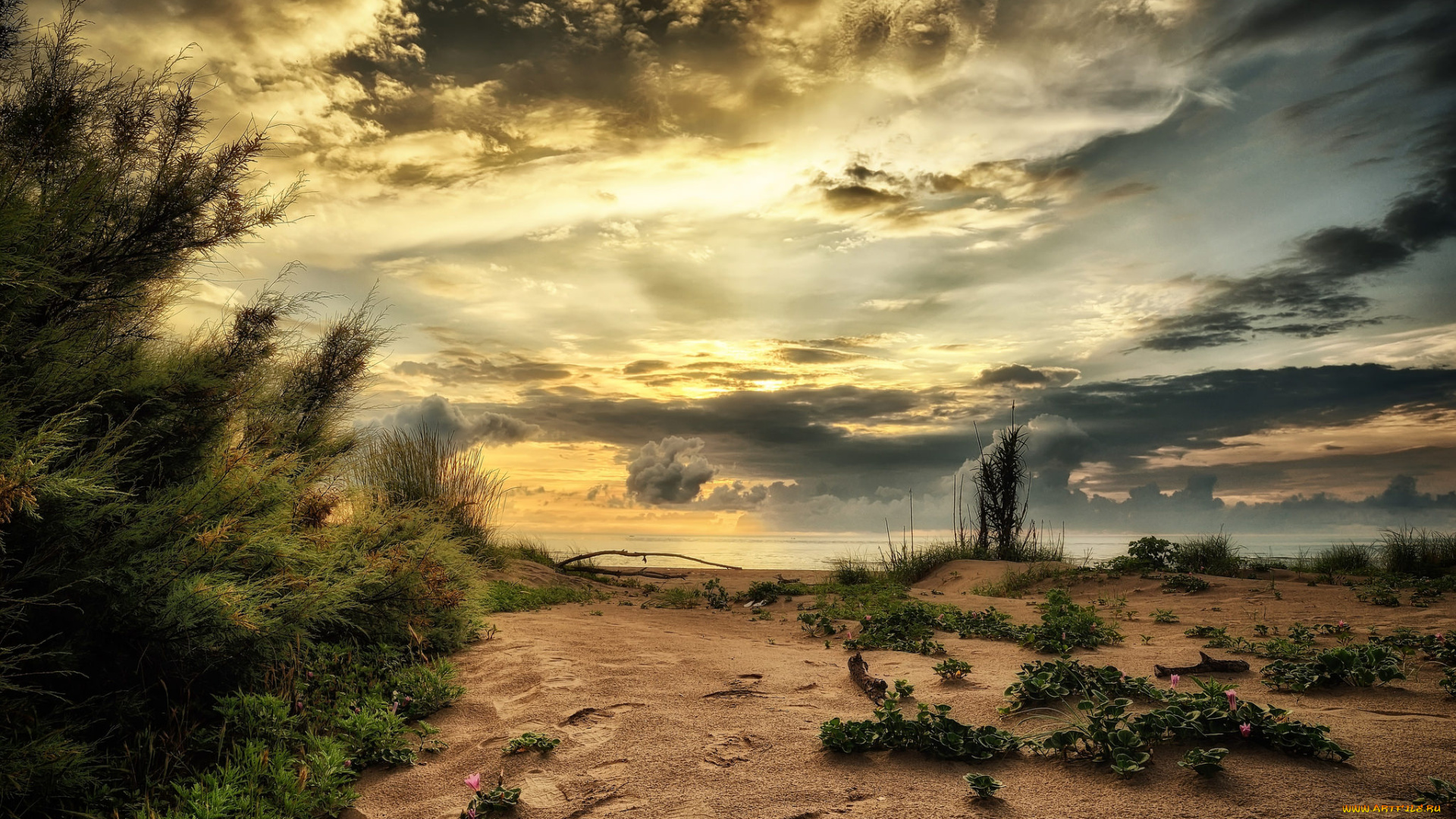 природа, пейзажи, простор