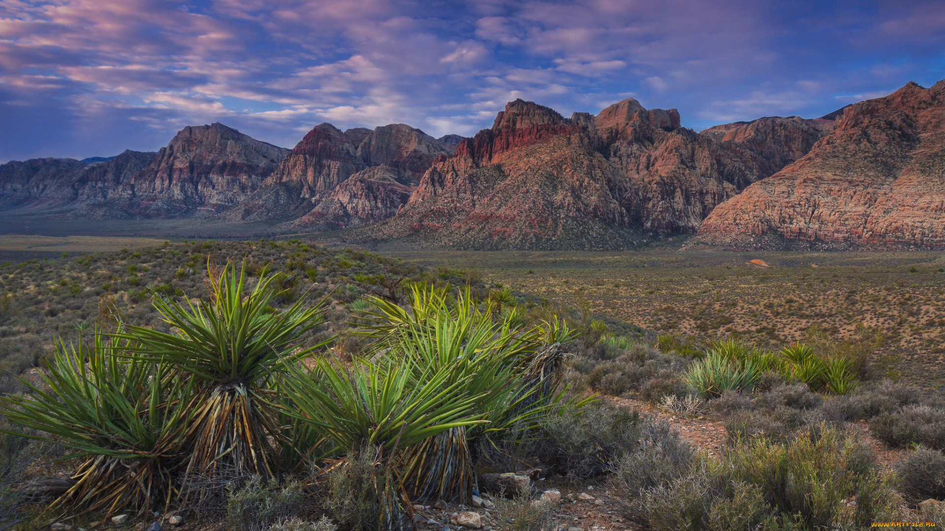 природа, пустыни, простор