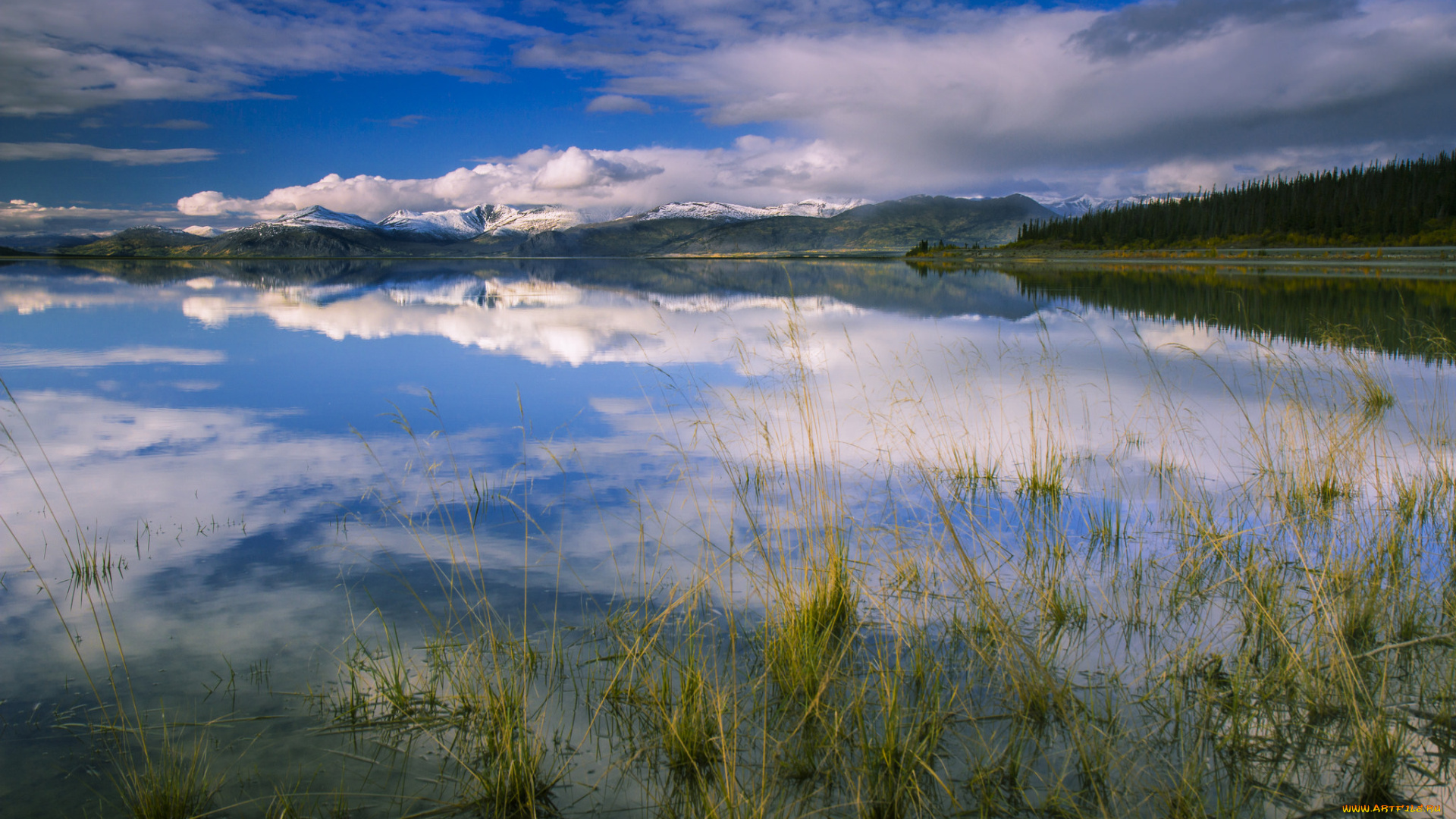 природа, реки, озера, простор