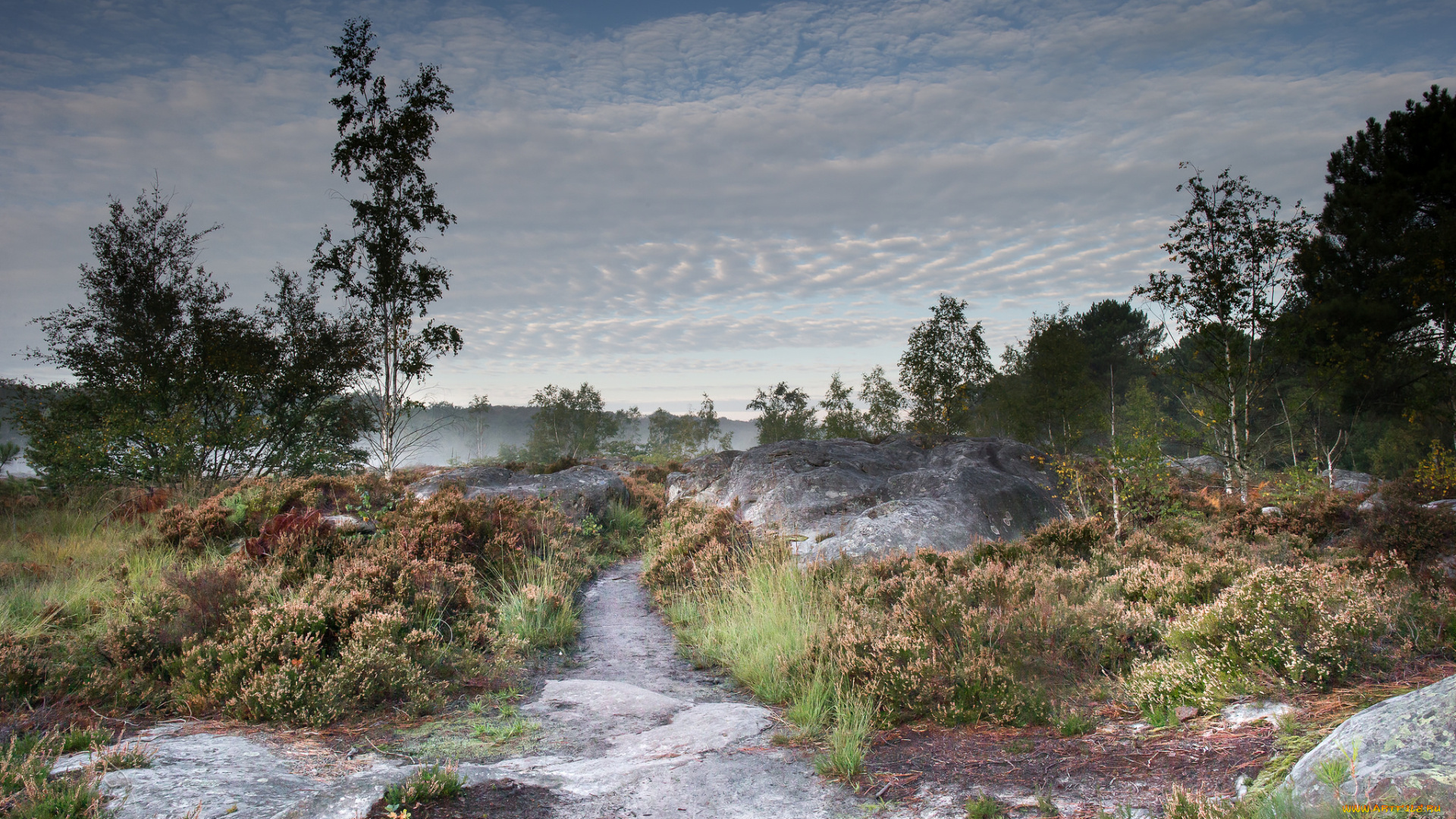 природа, реки, озера, простор