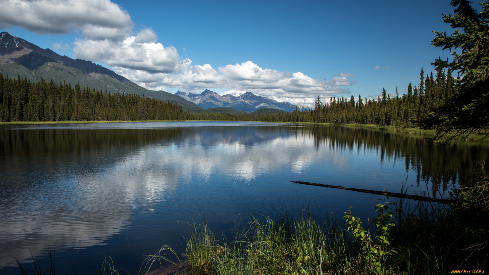 природа, реки, озера, простор