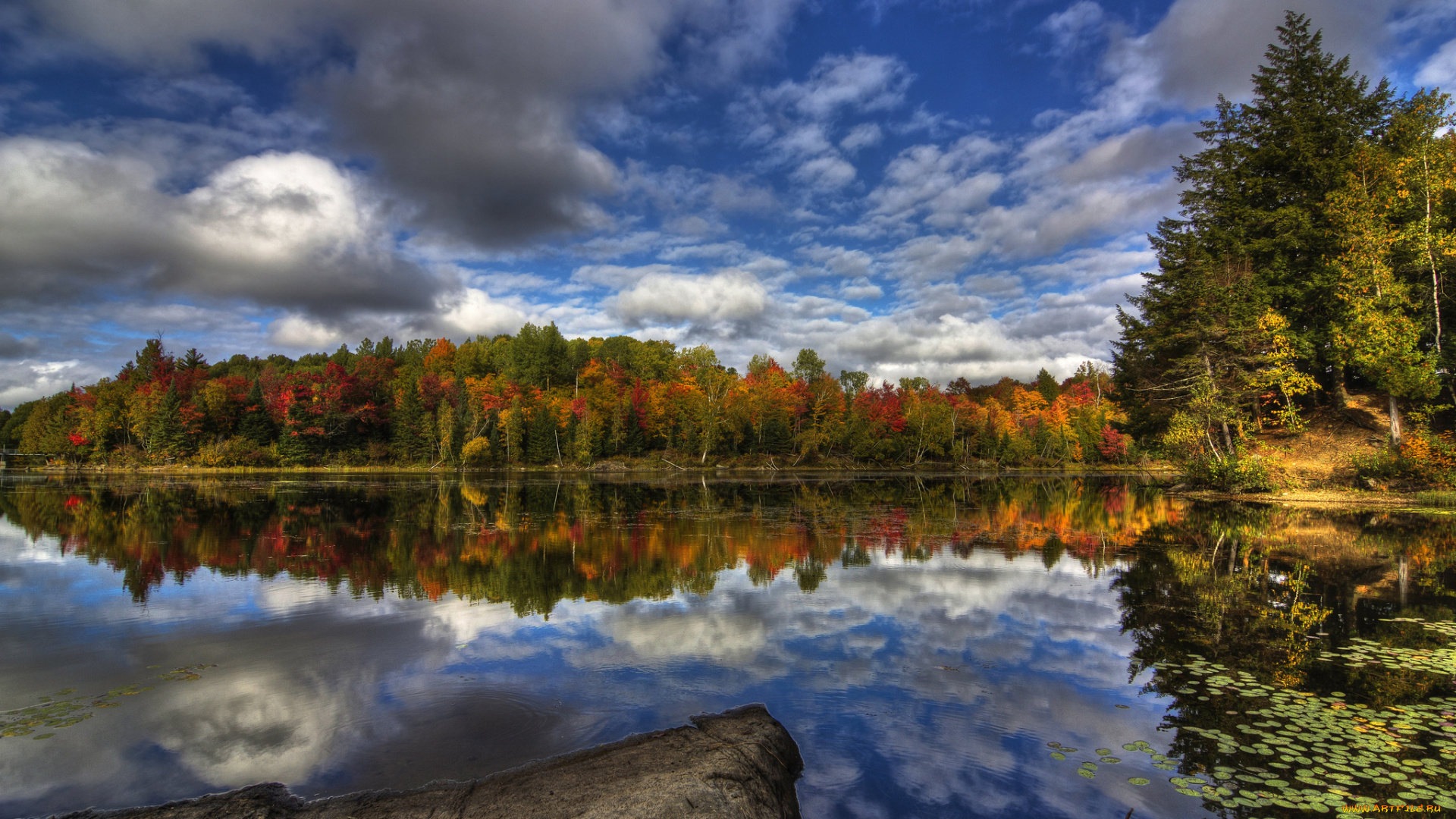 природа, реки, озера, простор